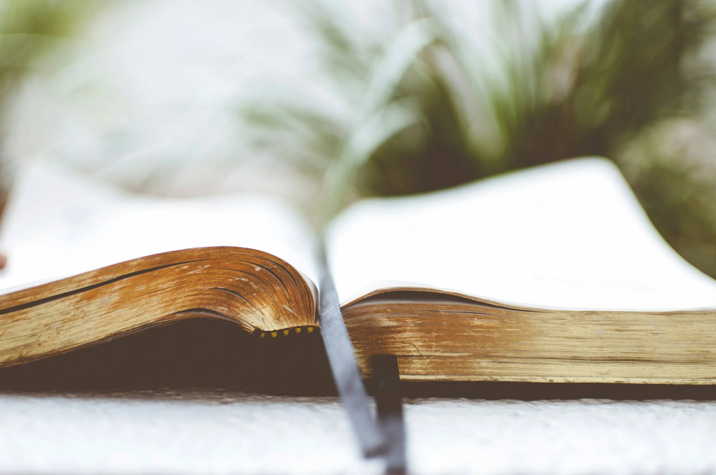 close up of open bible