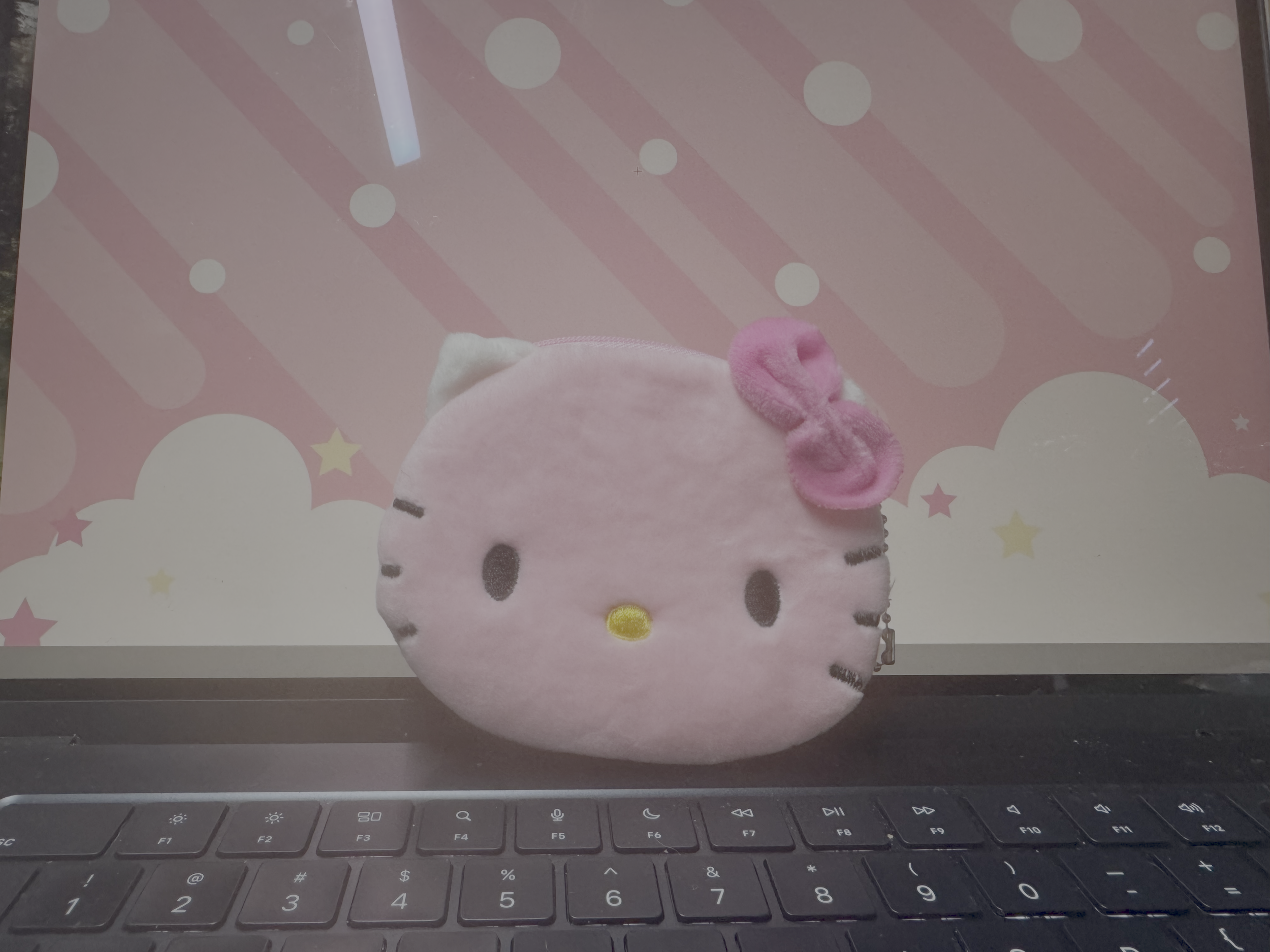 Adorable Hello Kitty Pink Coin Purse