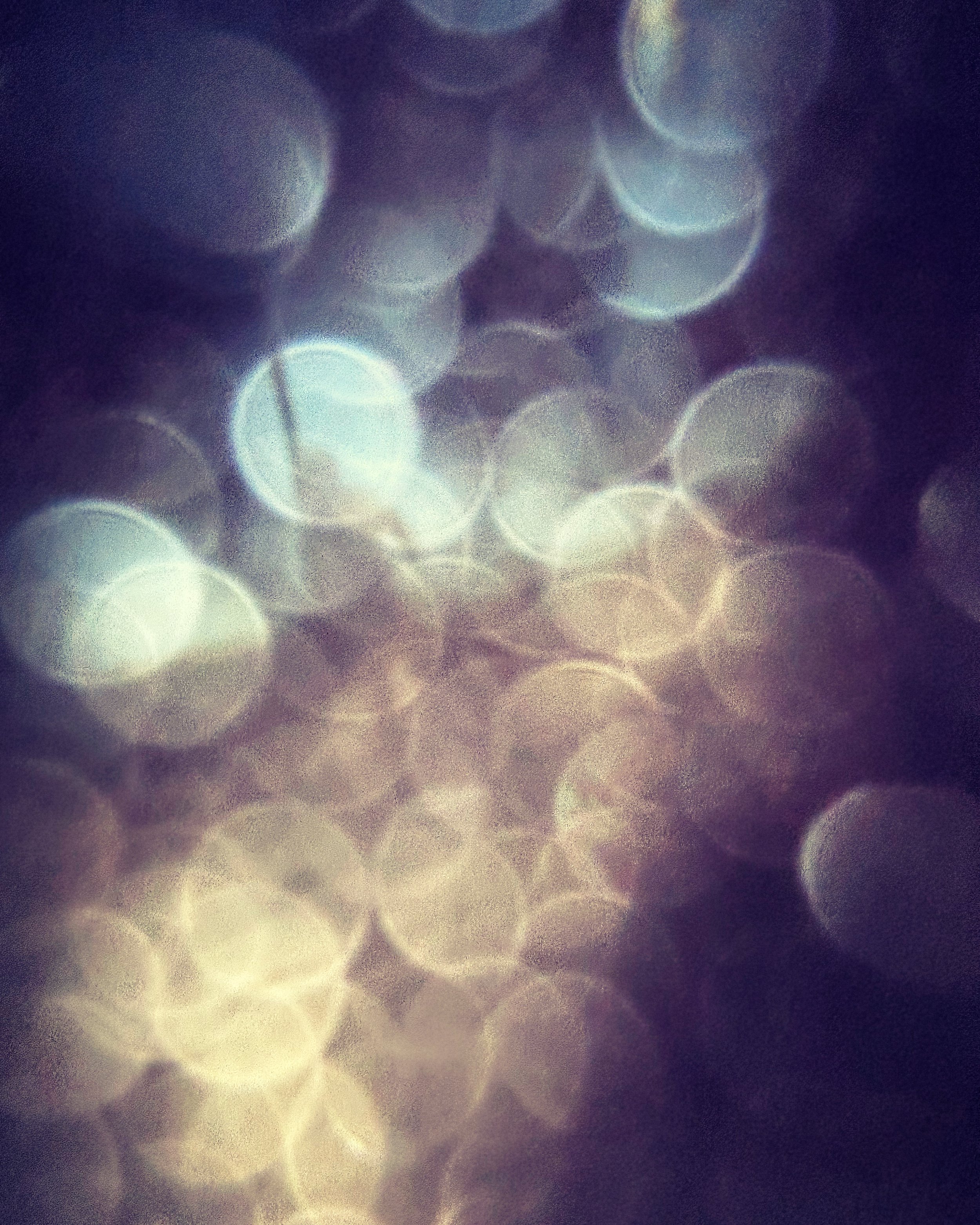 CF3D6299-62B2-44C4-BE44-FC99D48404F6.jpg