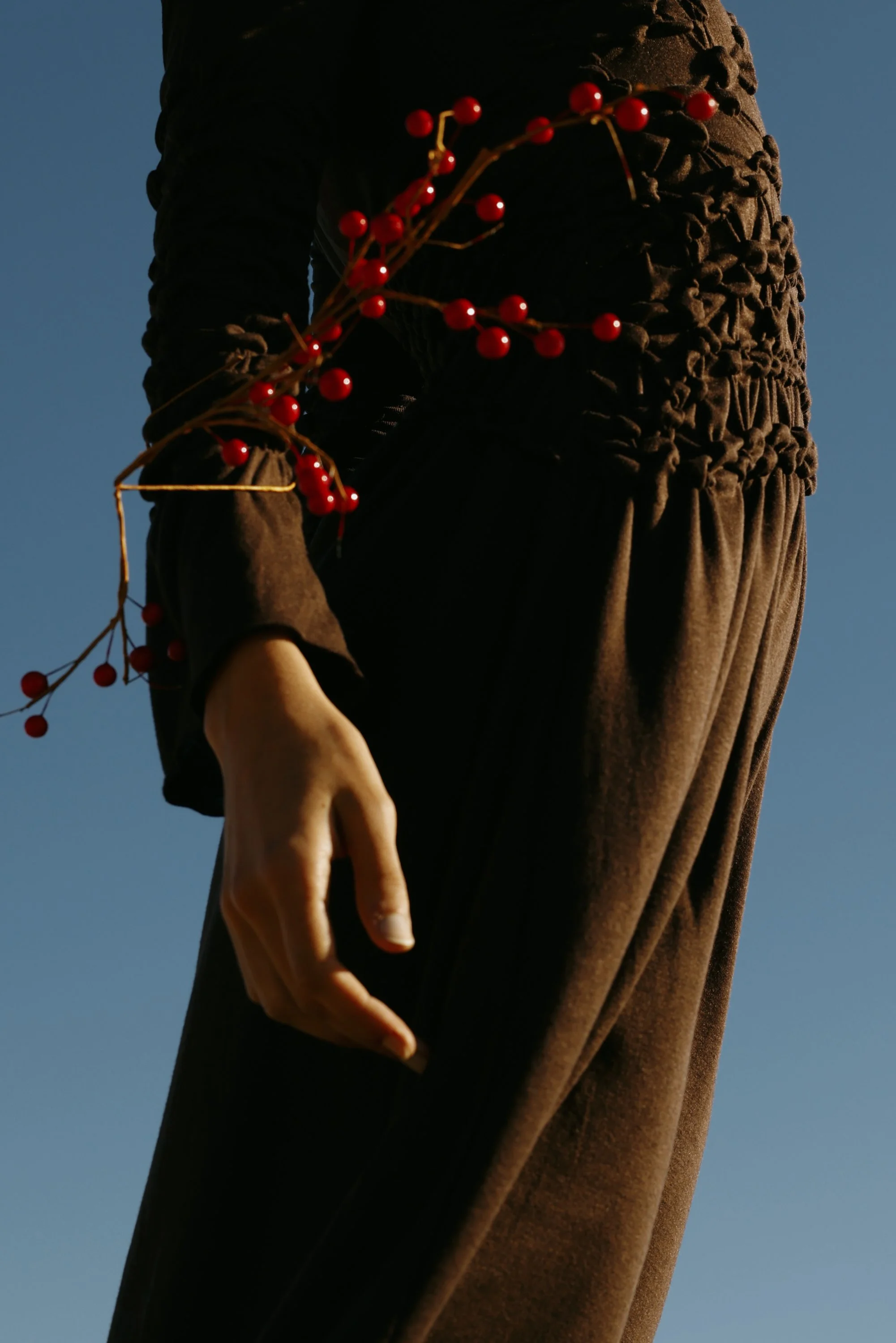 Close-up of a person wearing brown pants and a brown top, holding a branch with red berries against a blue sky background.