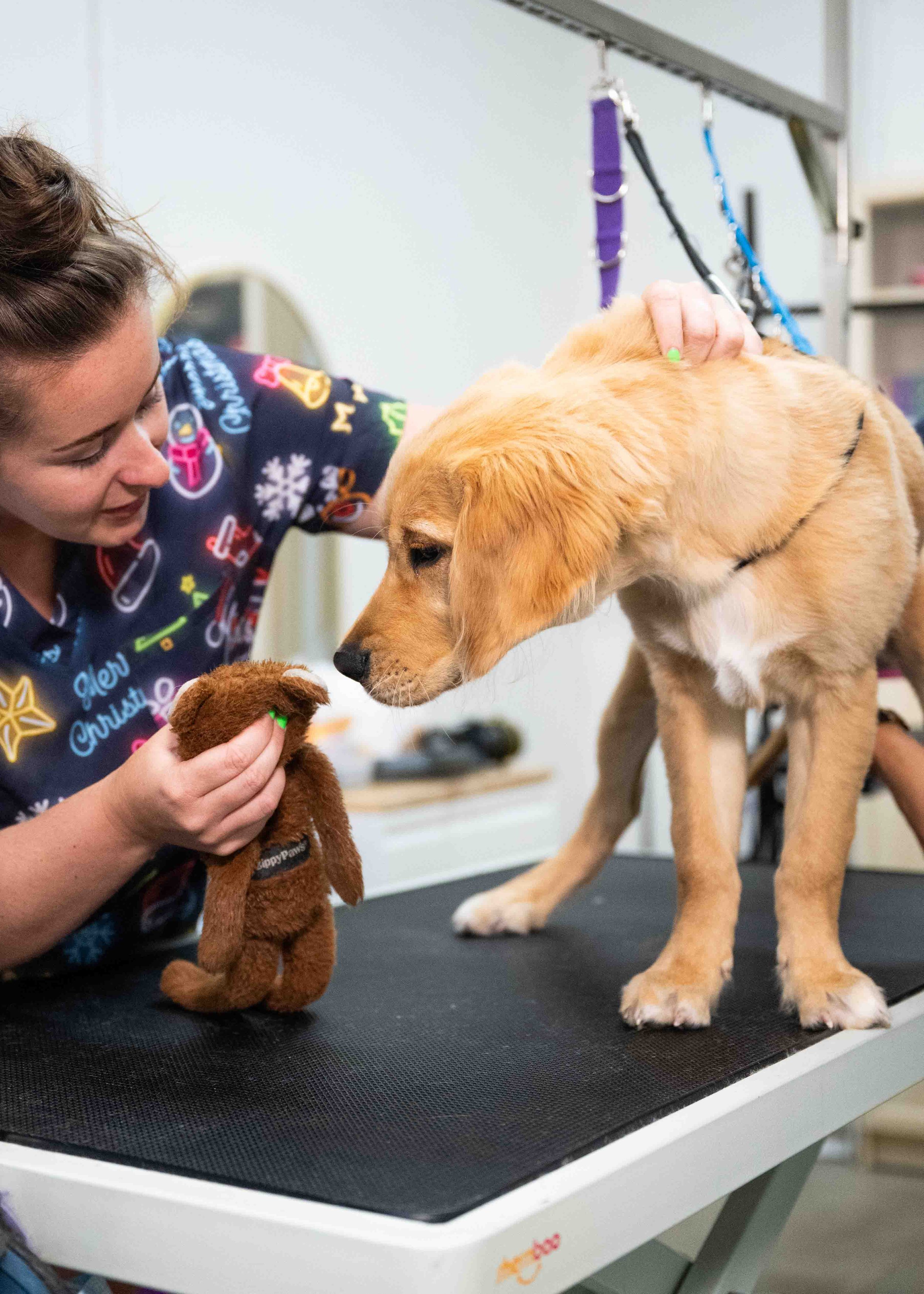 FFFF+W - downsized-8.jpg