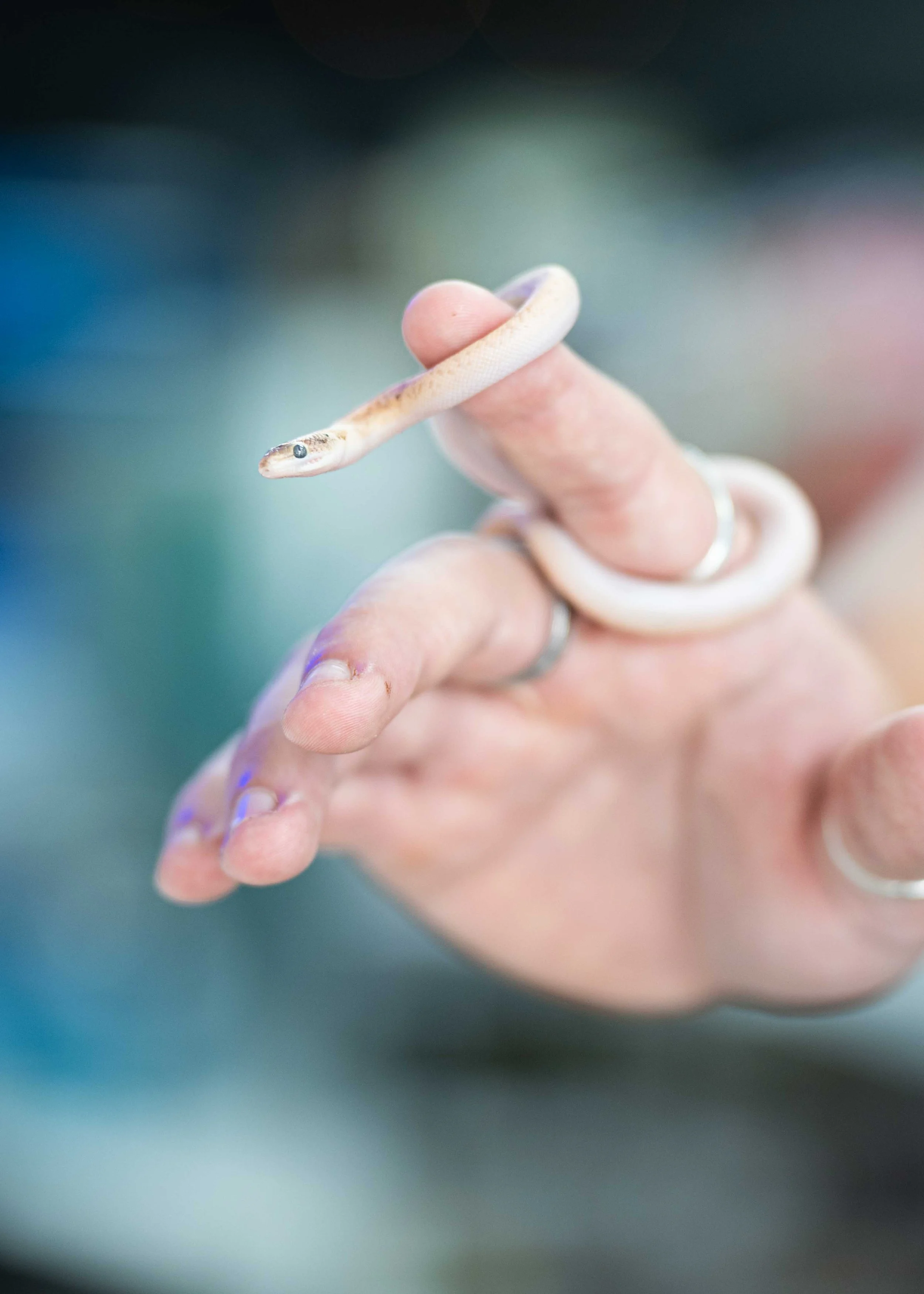 FFFF+W - downsized-11.jpg