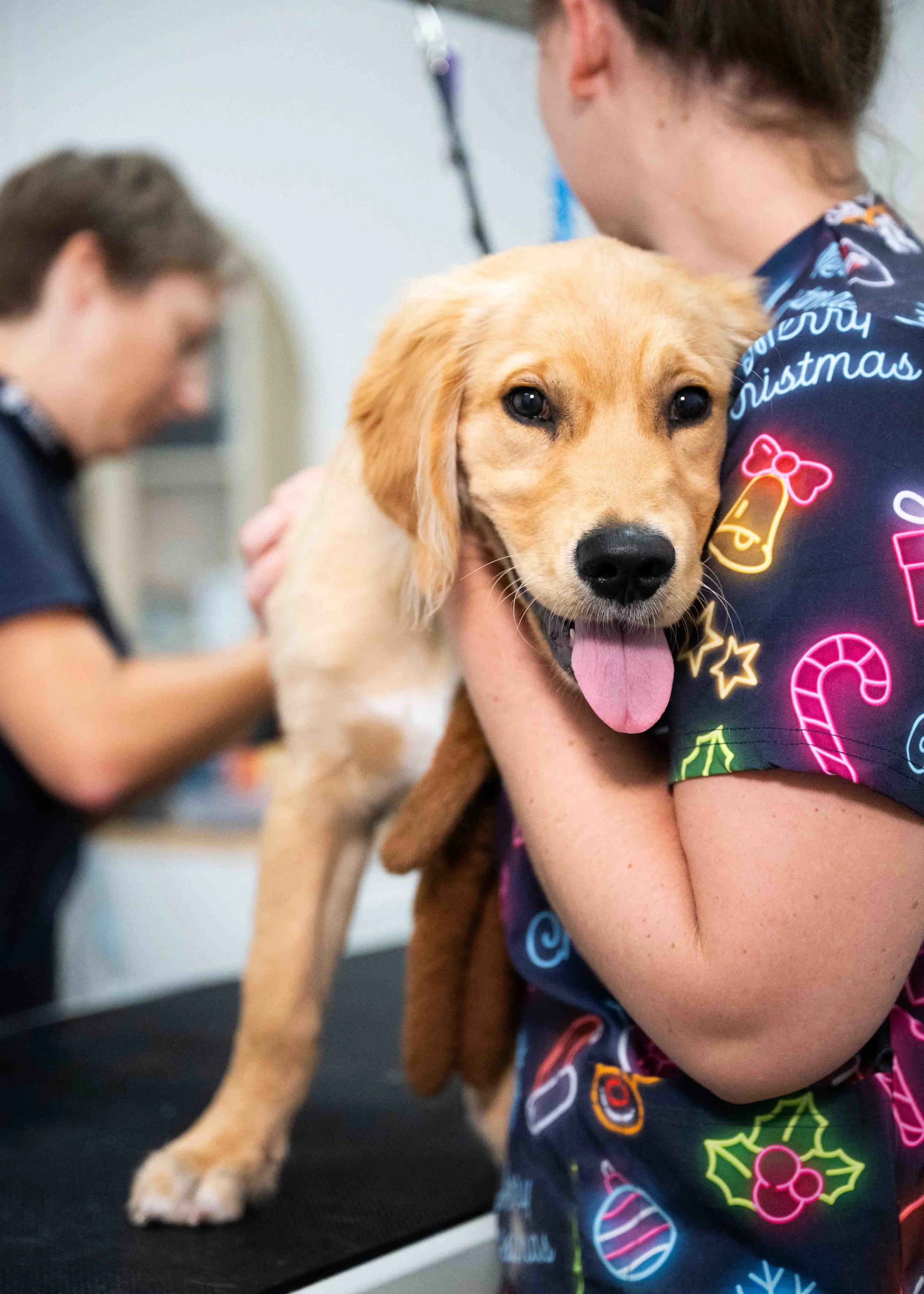 FFFF+W - downsized-9.jpg