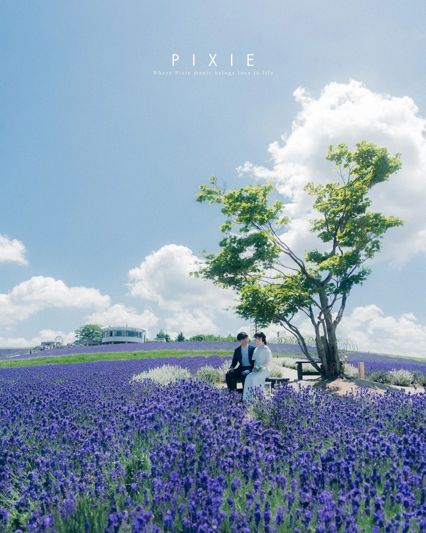 ໒꒱ new open ໒꒱

 - 関東 / 北海道 - 

関東と北海道を拠点に全国で前撮り撮影(動画・写真)を撮影します
PIXIE Weddingです。

お2人の想いに寄り添った
映画のワンシーンのような映像と写真をお届けします。
・
・
・
プランや期間限定クーポンなどは公式LINEよりご確認くださいませ。
皆様の素敵なご縁をお待ちしております ໒꒱
・
・
・
#北海道ウェディング 
#オープニングムービー #結婚式ムービー 
#ウェディングムービー #結婚式動画 
#結婚式準備 