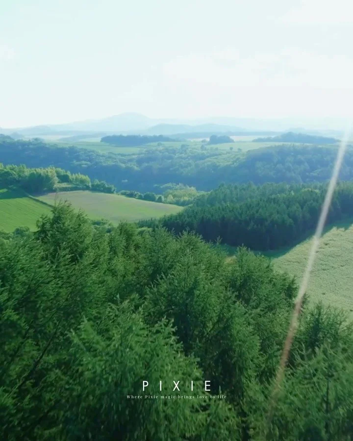 __ 北海道ウェディング __

緑深い森を抜ける風、
どこまでも真っ直ぐに続く「ジェットコースターの路」、
そして、空を茜色に染めるサンセット。

ドローンが描き出すのは、
大自然が織りなす壮大なスケールと、
その中で寄り添うふたりの姿。

森の静けさに包まれ、
一本道を歩むふたりの未来を重ね、
夕日が優しく照らす瞬間、
この時間が永遠に続くよう願わずにはいられない&mdash;&mdash;。

北海道だからこそ出会える絶景と、
そのすべてを映し出すドローンカット。
特別な一日を、この地で。