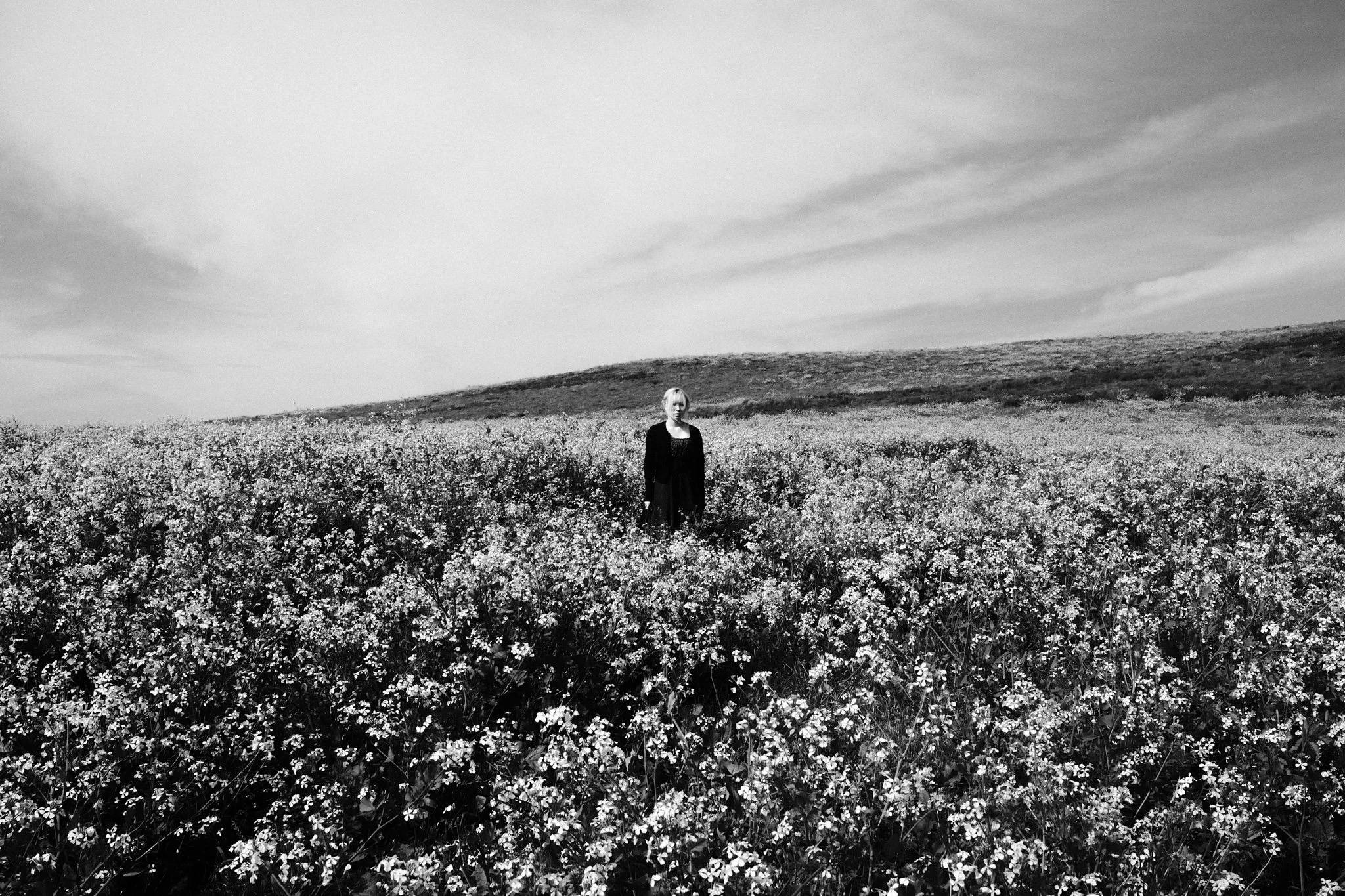 American Dream 2.jpg