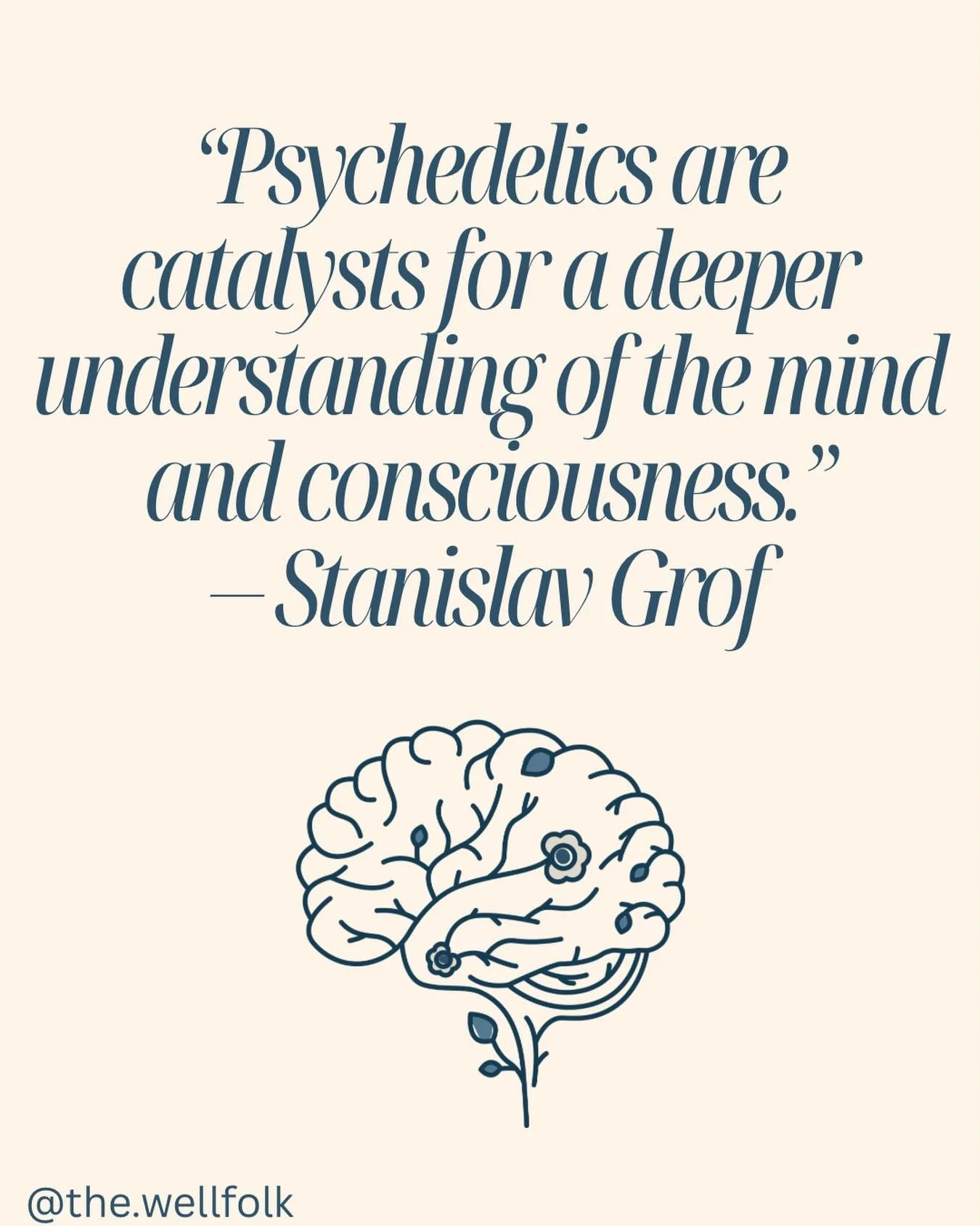 At The Wellfolk we believe these experiences are most meaningful when held with intention safety and deep respect for the individual journey. This work is not about quick fixes or promised outcomes. It is about creating the right conditions for insig