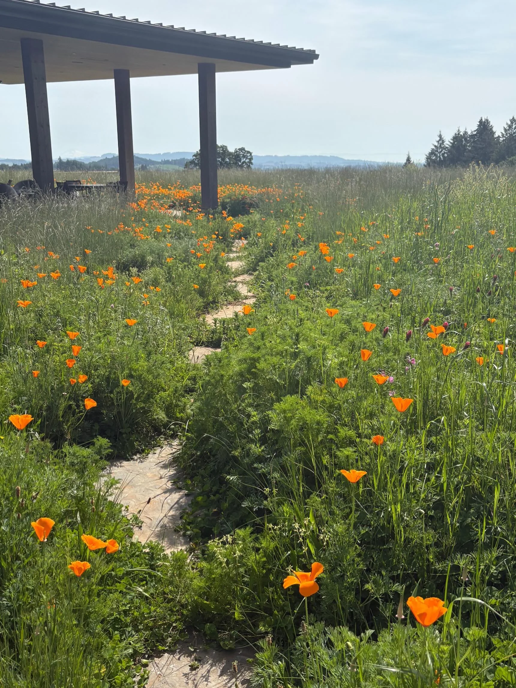 Seeds are being planted for future retreats. We can&rsquo;t wait to share more with you soon!