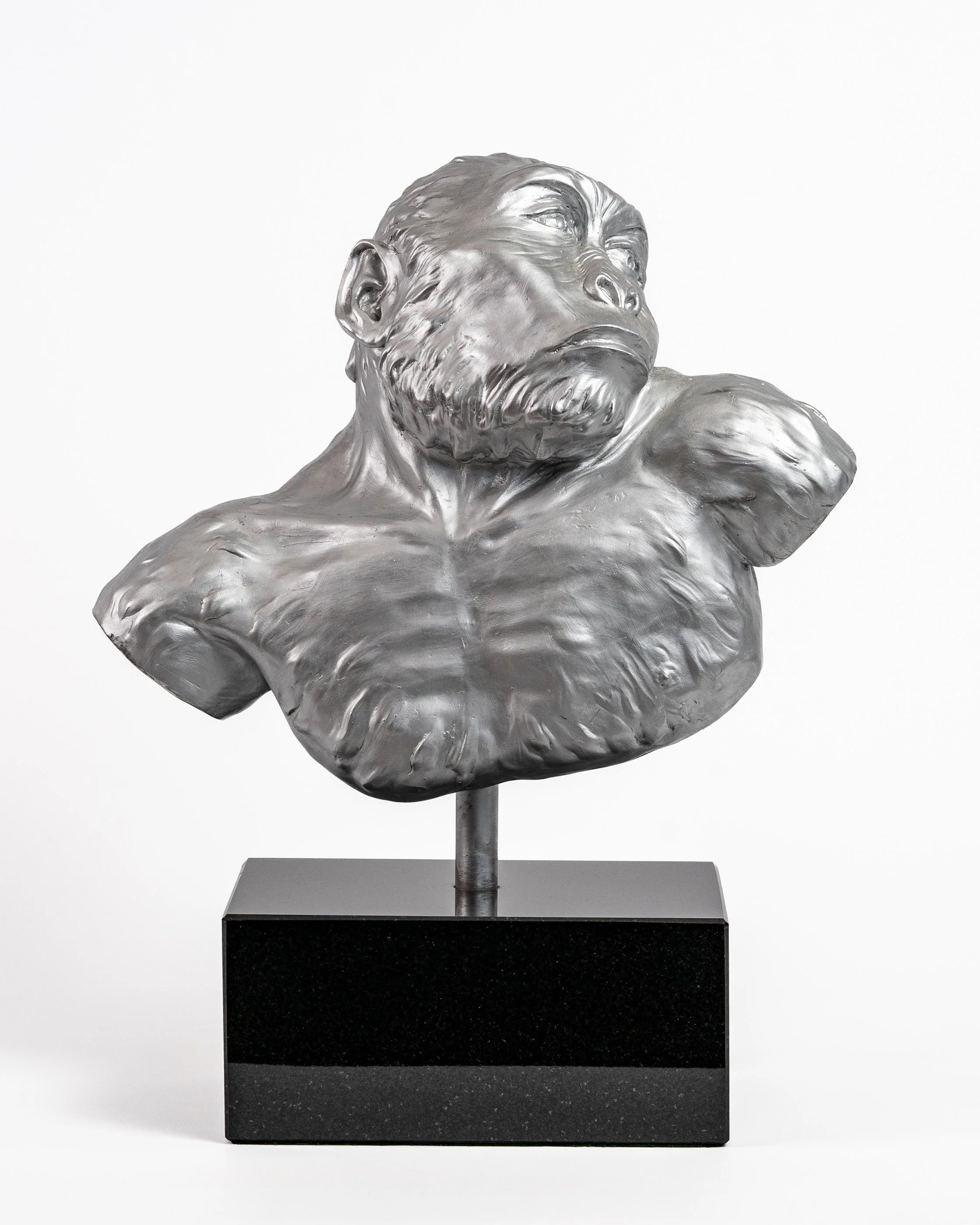 Metal bust of a primate with a beard on a black pedestal.