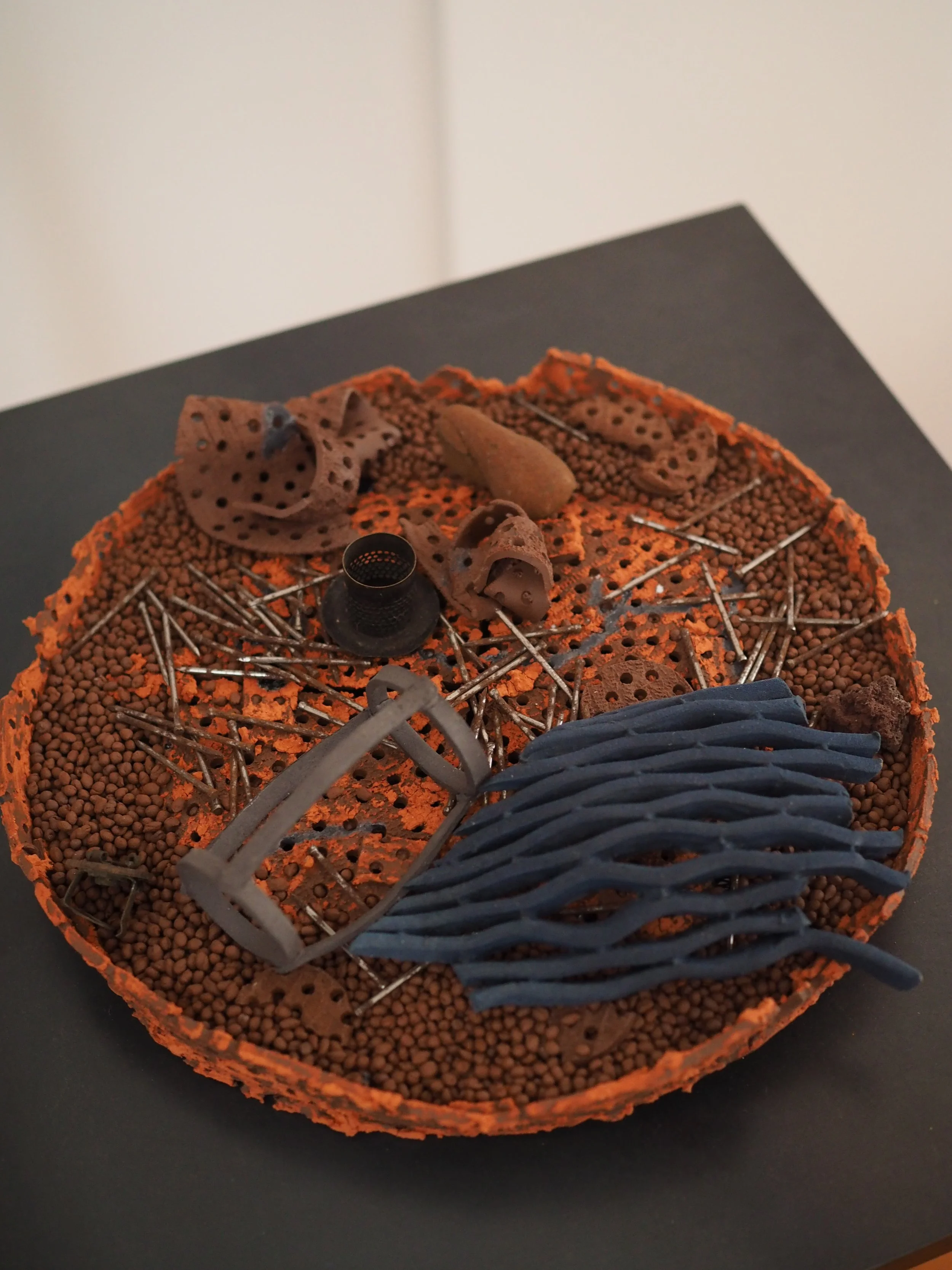 Frustular Mishmash, 2021-23
Ceramic, nails, found objects
280mm x 90mm