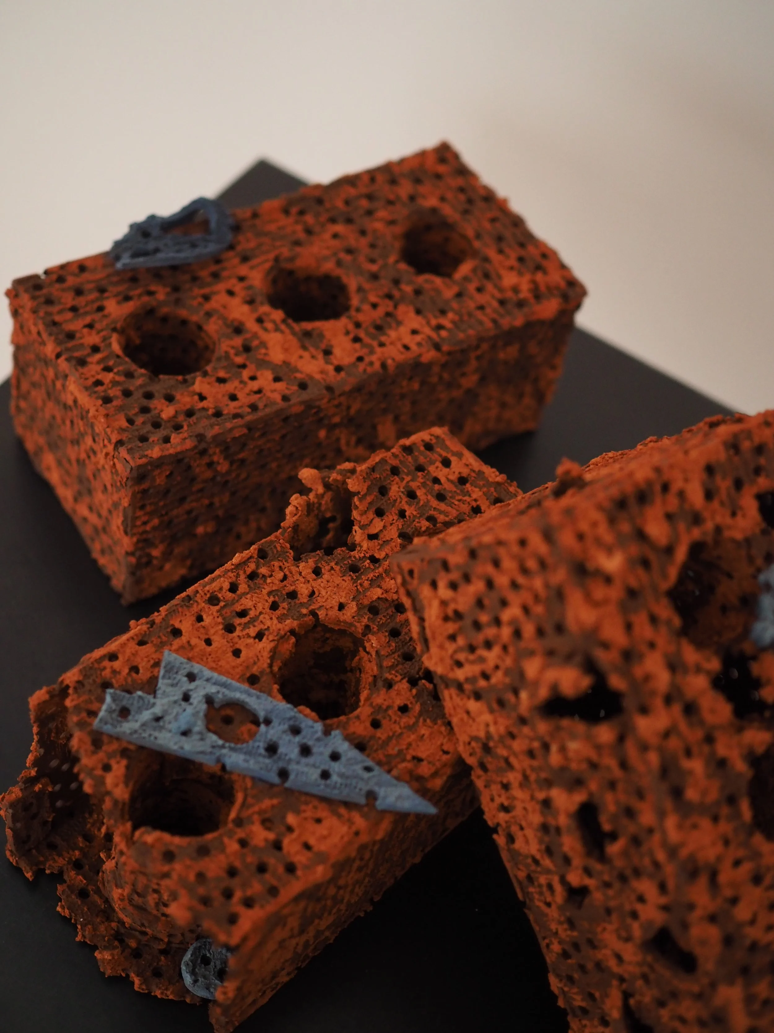 Frustular Plaything ii, iii, iv 2023
Ceramic
190mm x 100mm x 80mm