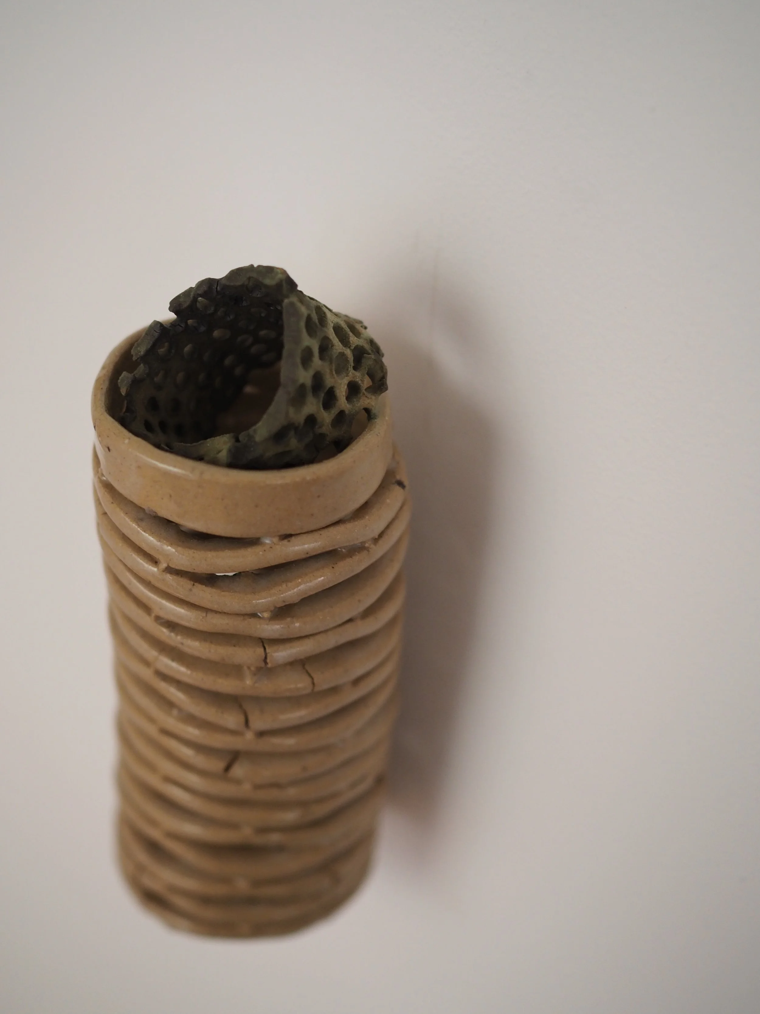 Frustular Morsel ii, 2021-23
Ceramic
160mm x 60mm x 60mm