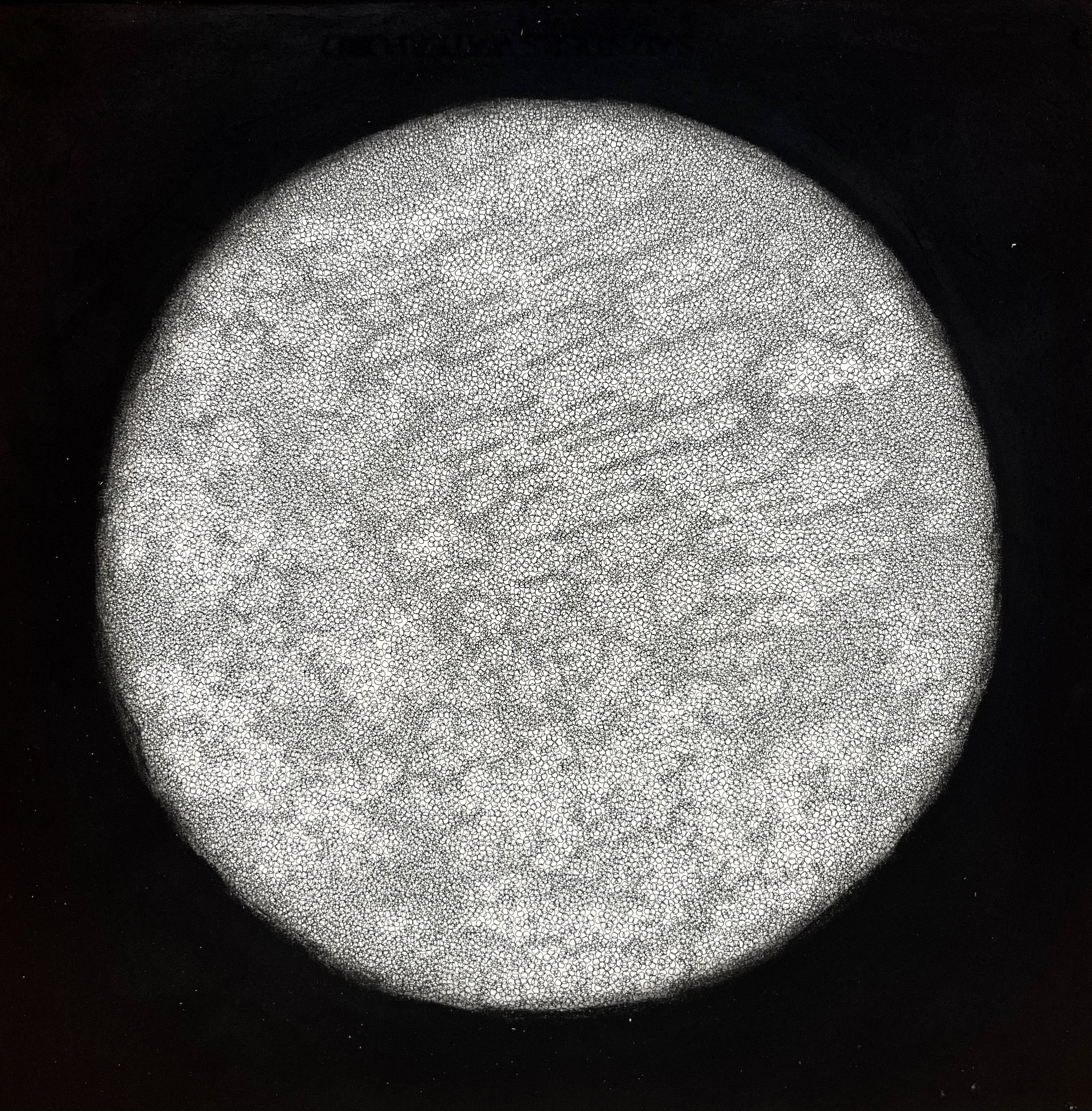 EDV5, 2025
Pastel and ink on paper
380mm x 380mm