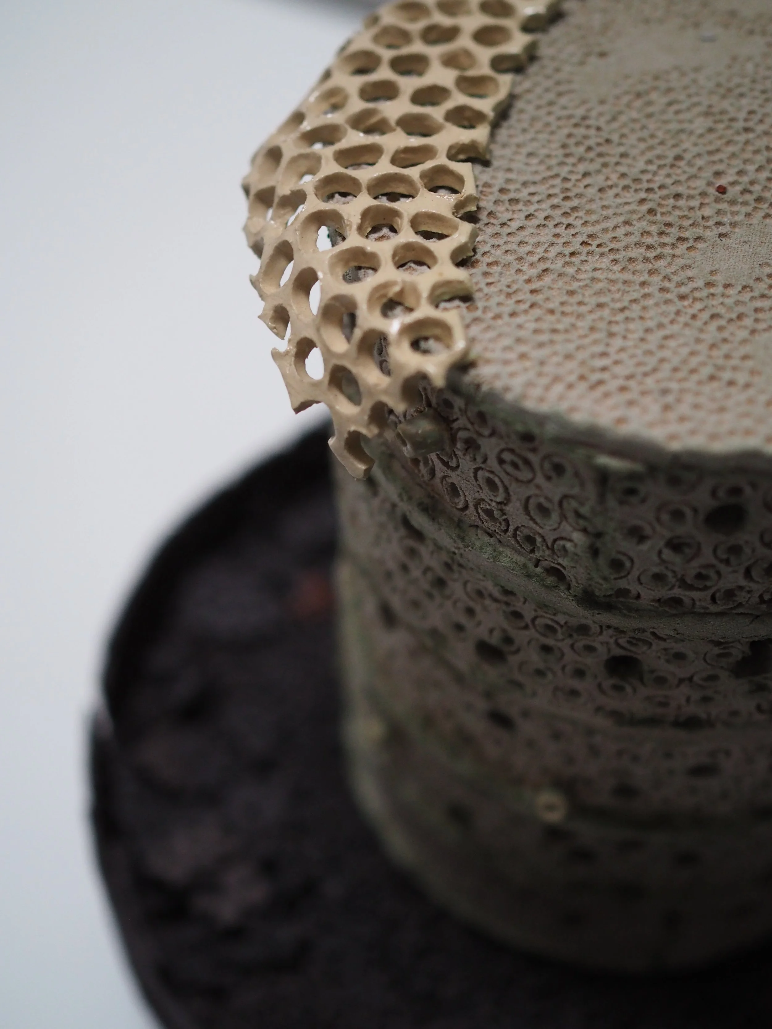 Frustular Double Down.jpeg