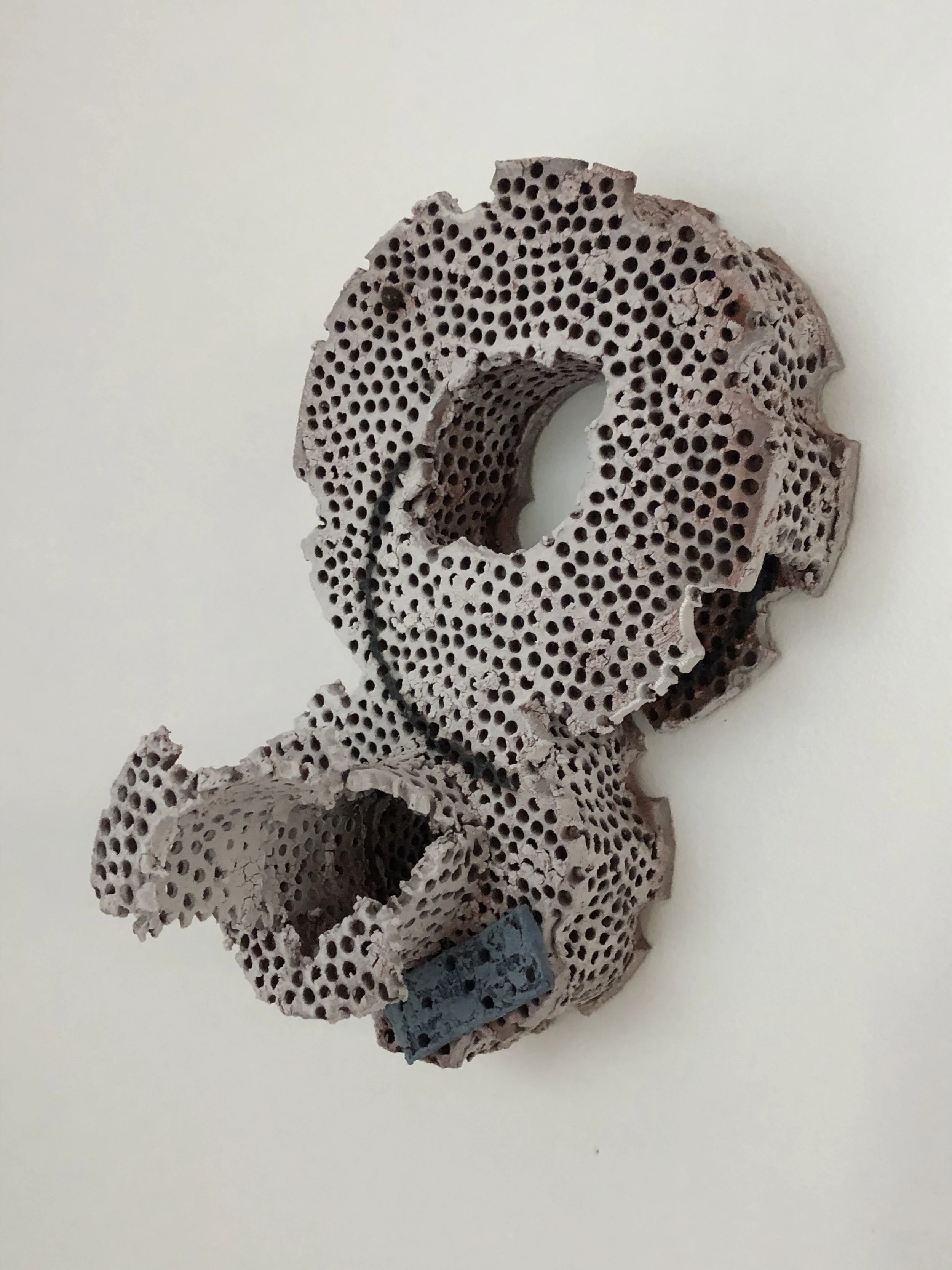 Frustular Morsel i, 2021-23
Ceramic
250mm x 160mm x 13mm