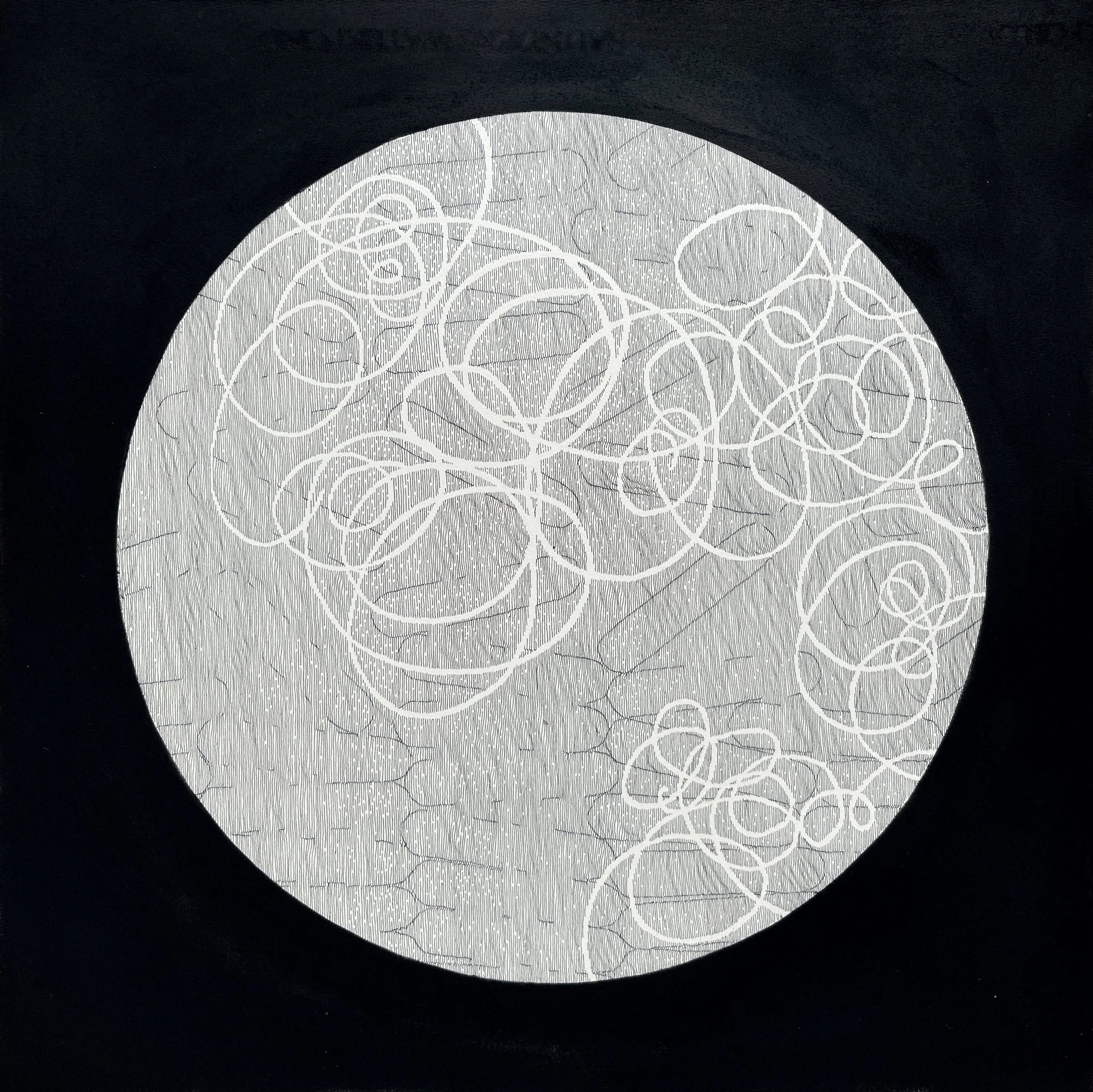 EDV11, 2025
Pastel and ink on paper
380mm x 380mm