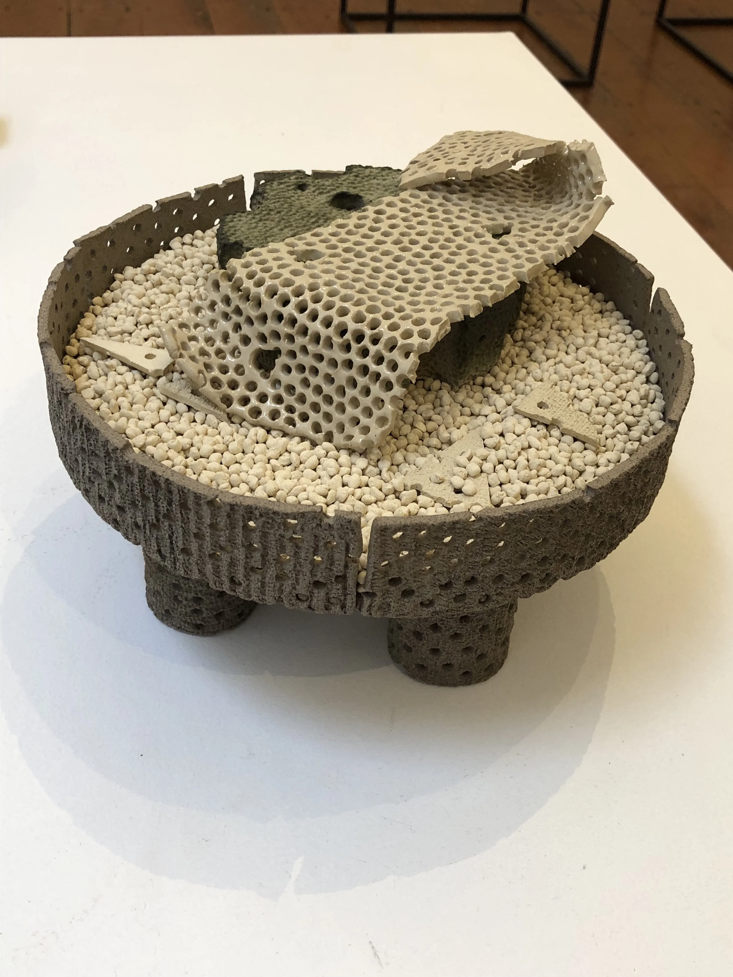 Frustular Delicacy i, 2021-23
Ceramic
220mm x 14mm