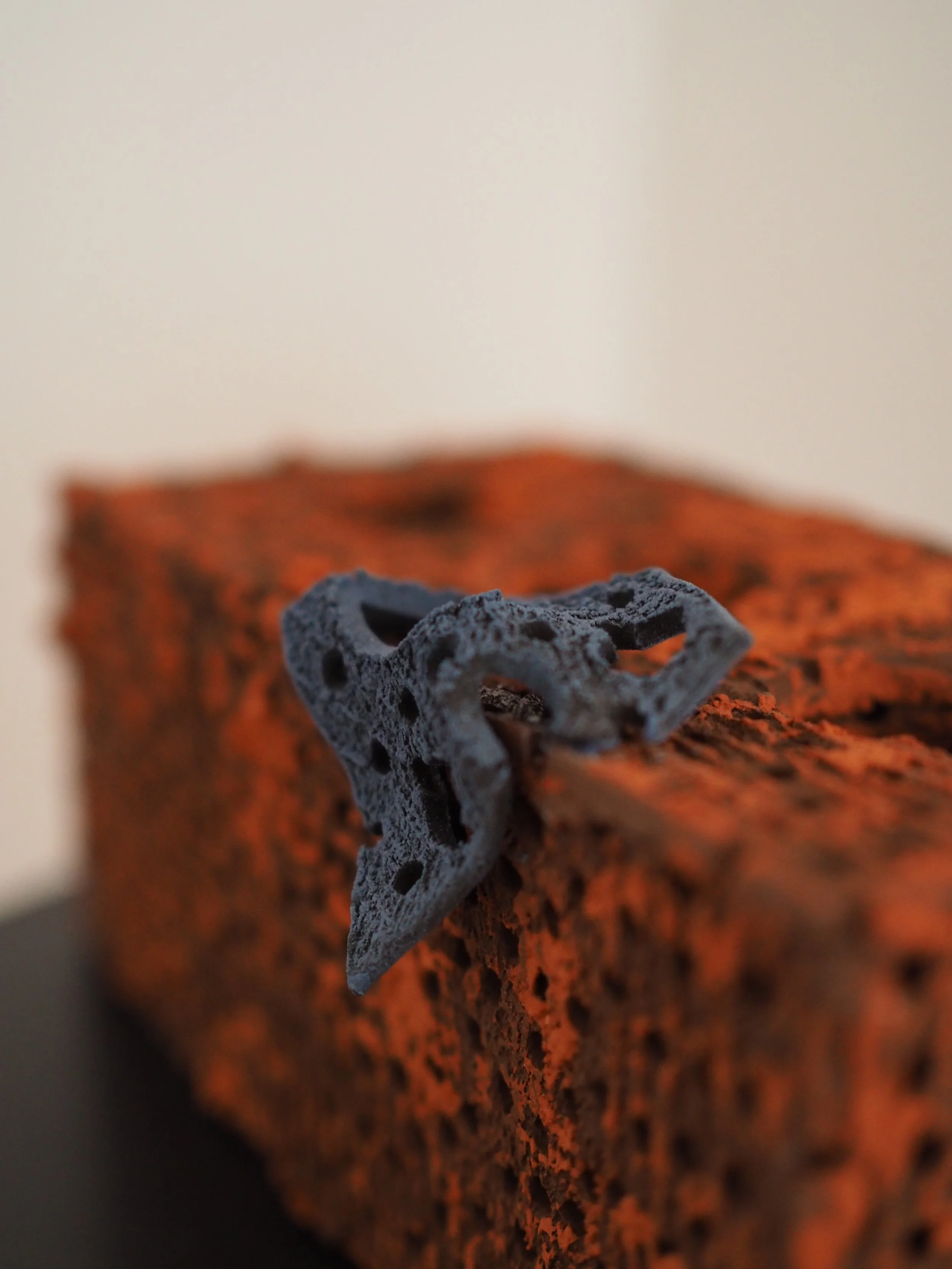 Frustular Plaything a.jpeg