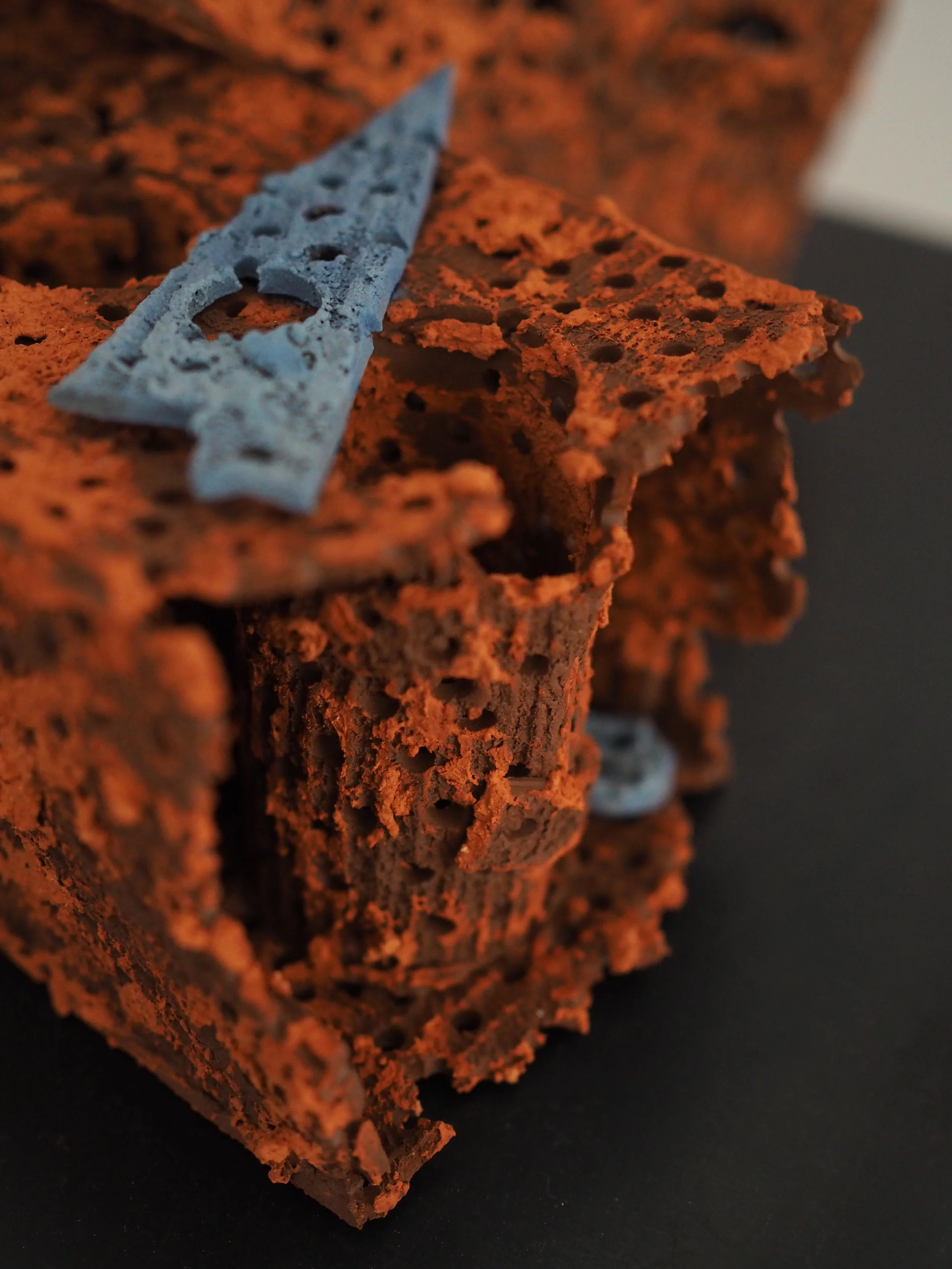 Frustular Plaything.jpeg