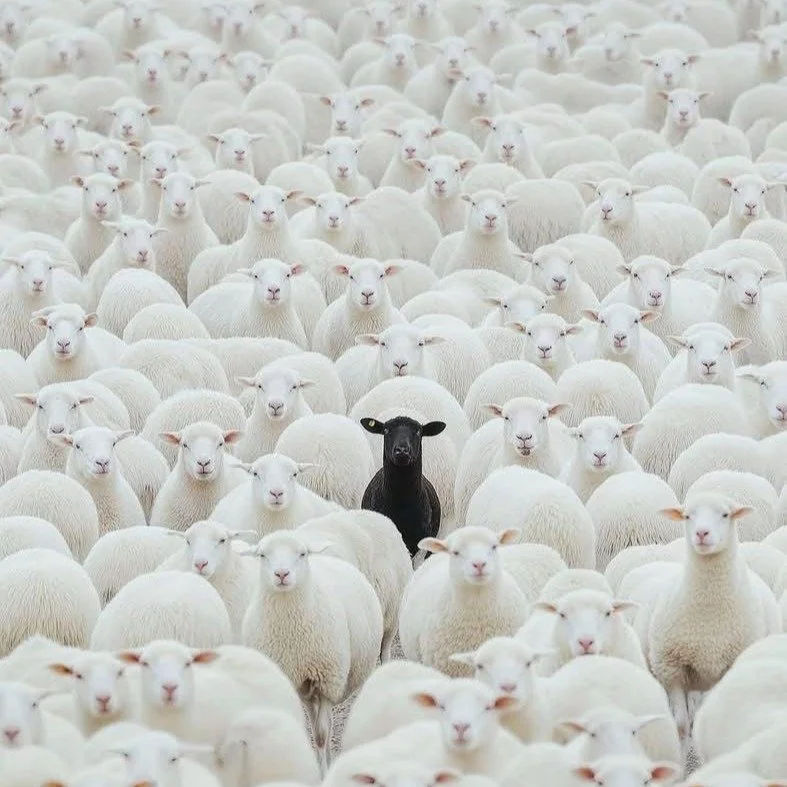 Feeling different isn&rsquo;t the end of the story &mdash; it&rsquo;s usually the beginning of finding where you actually belong.

Start small: find one space, one person, or one moment where you don&rsquo;t have to explain yourself. That&rsquo;s a b