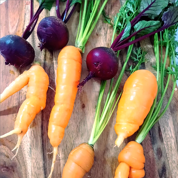 Fresh organic purple beets and carrots used for metabolic health and holistic nutrition coaching at Love Life Balanced.