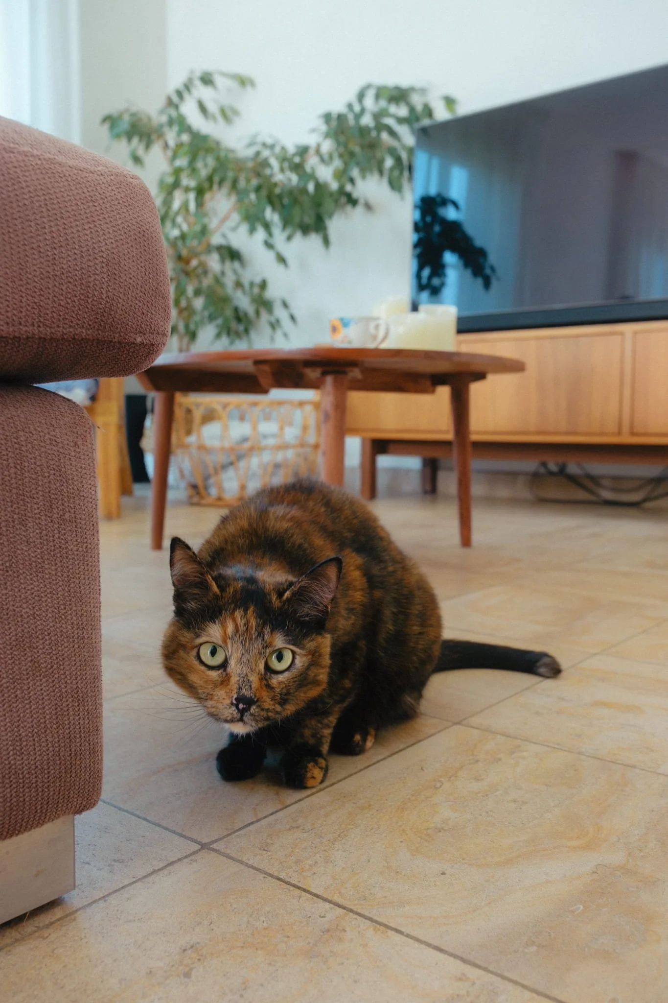 reportage-domicile-maternité-Marie-1.jpg