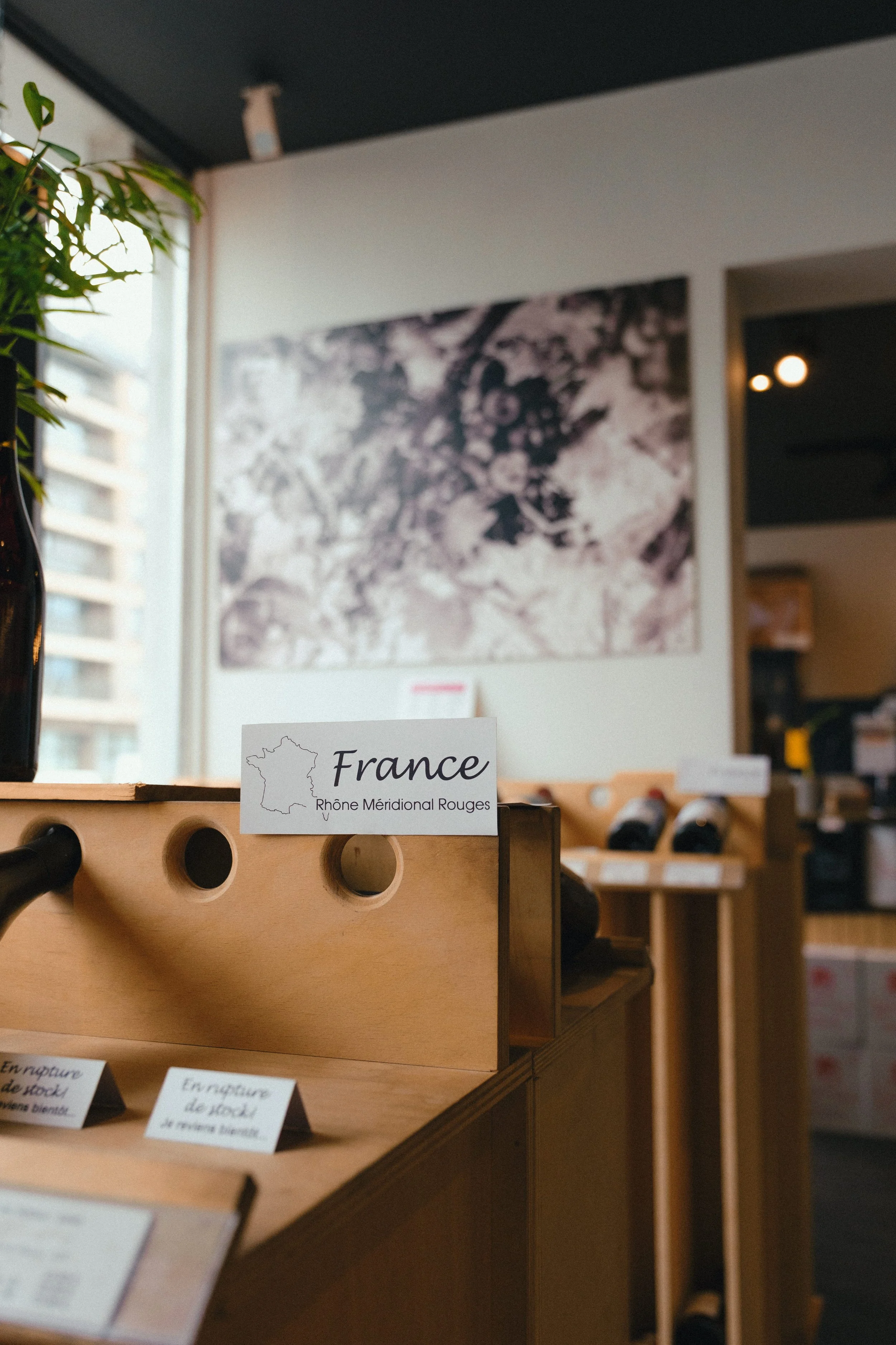 caviste-belgique-vin-noémie-joly-18.jpg
