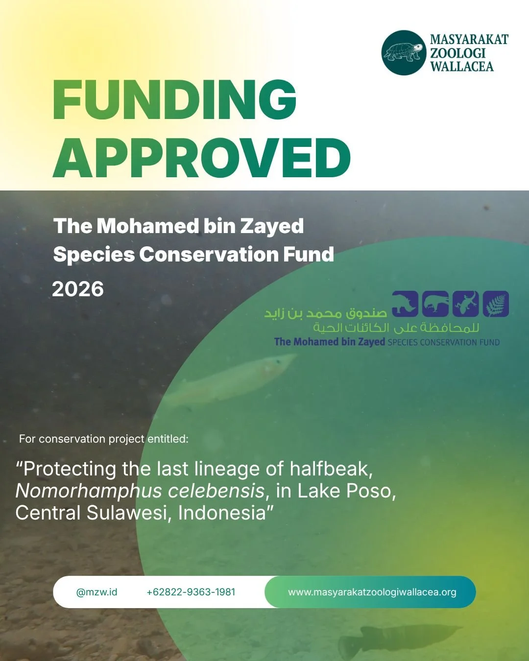 Terima kasih kepada The Mohamed bin Zayed Species Conservation Fund (@speciesconservationfund ) atas kepercayaan yang diberikan kepada MZW. Amanah ini akan kami jalankan sebaik mungkin demi memastikan masa depan ikan endemik di Danau Poso tetap terja