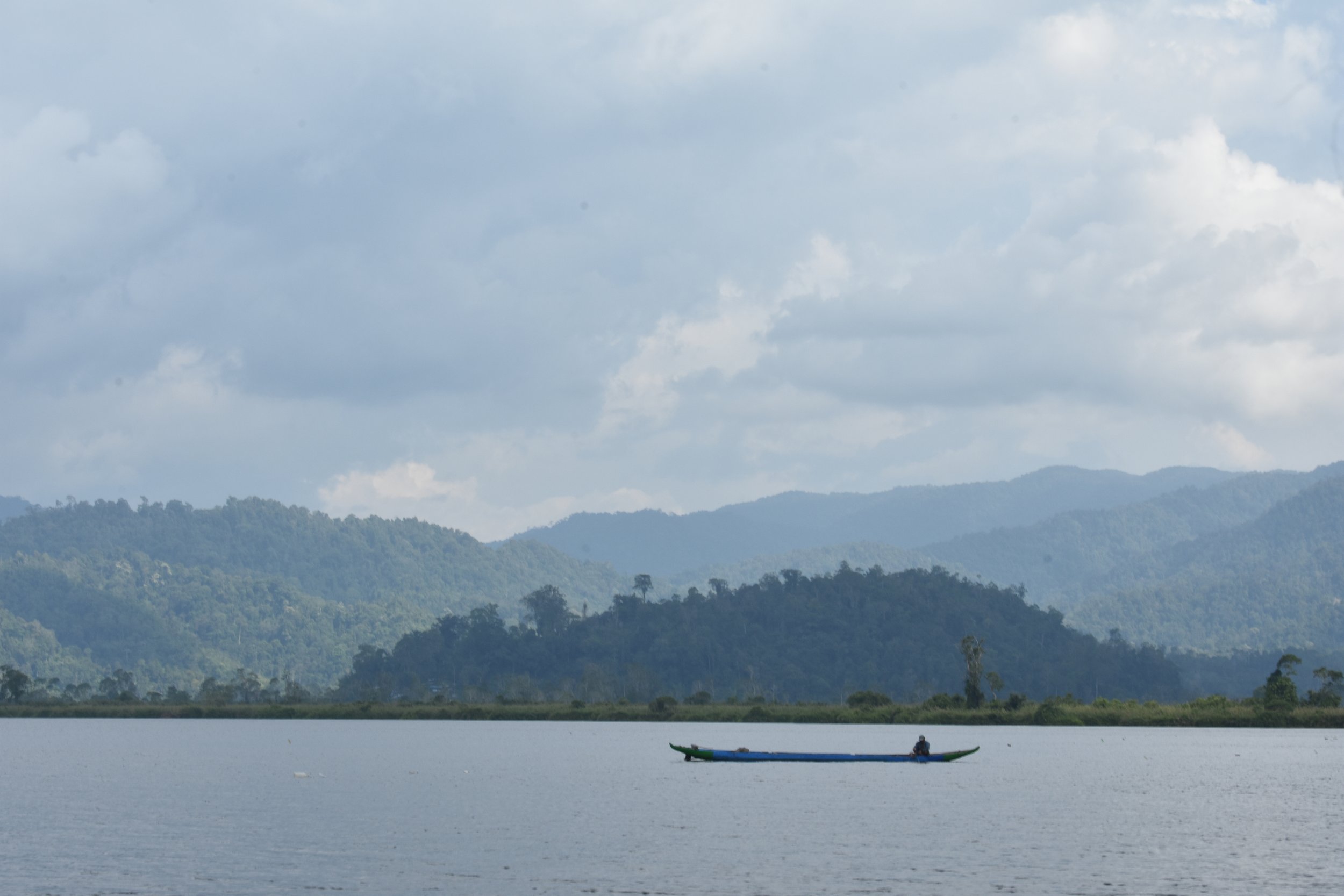 Fauna Endemik Danau Lindu: Rekam Jejak Kehidupan Danau Lindu dari Masa ke Masa
