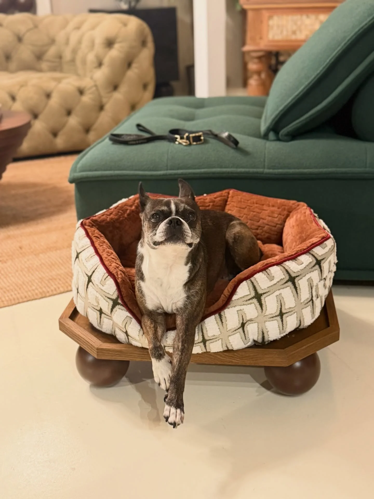 The Companions Collection has begun.
Designed for the ones who sit beside us, wait for us and make a house feel like home.

Riley, testing the first Atelier V&amp;A companion bed.

Soft. Sculptural. Made with the same care as everything we create.

S