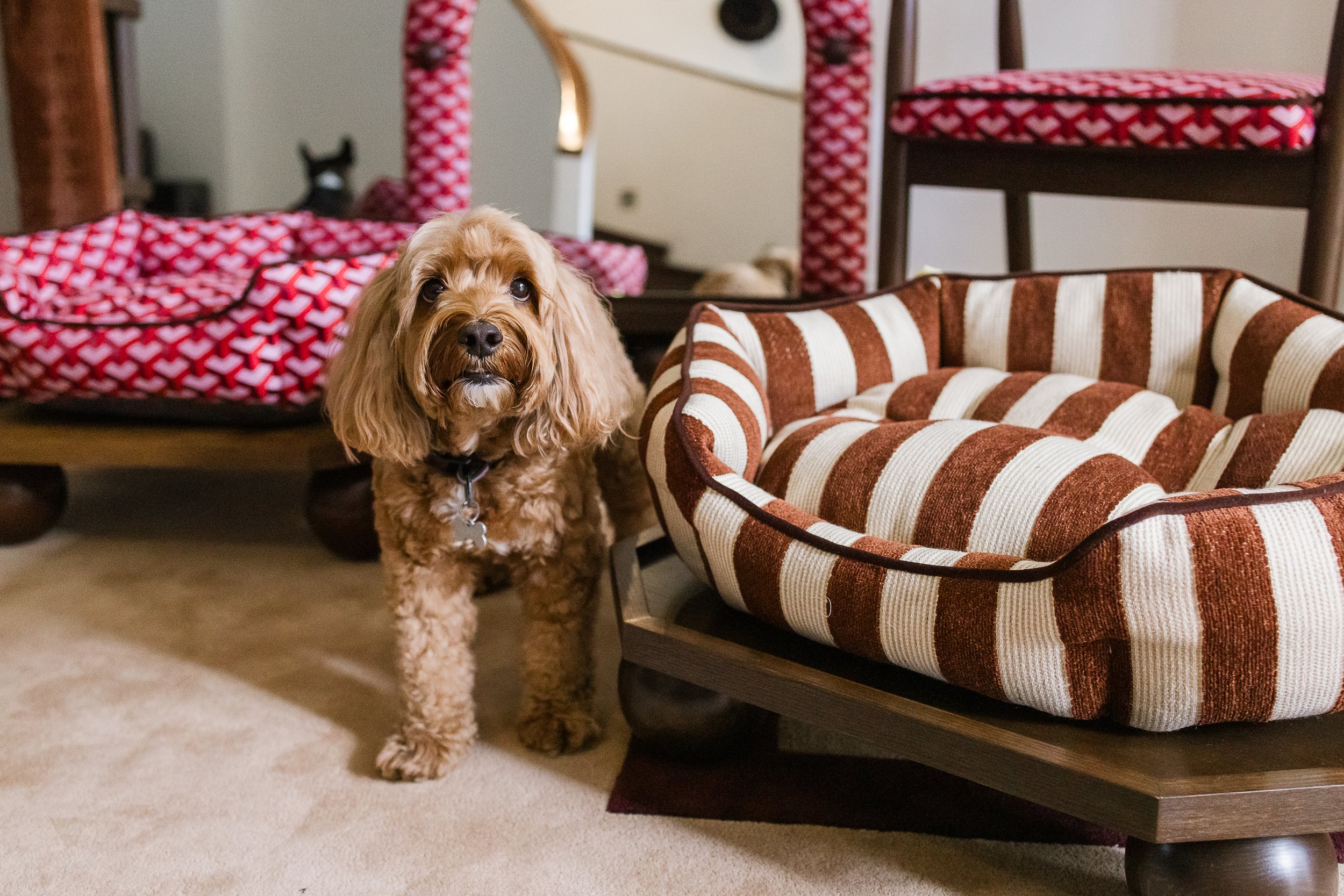 Rhythm Stripe Pet Bed | Atelier One Collection