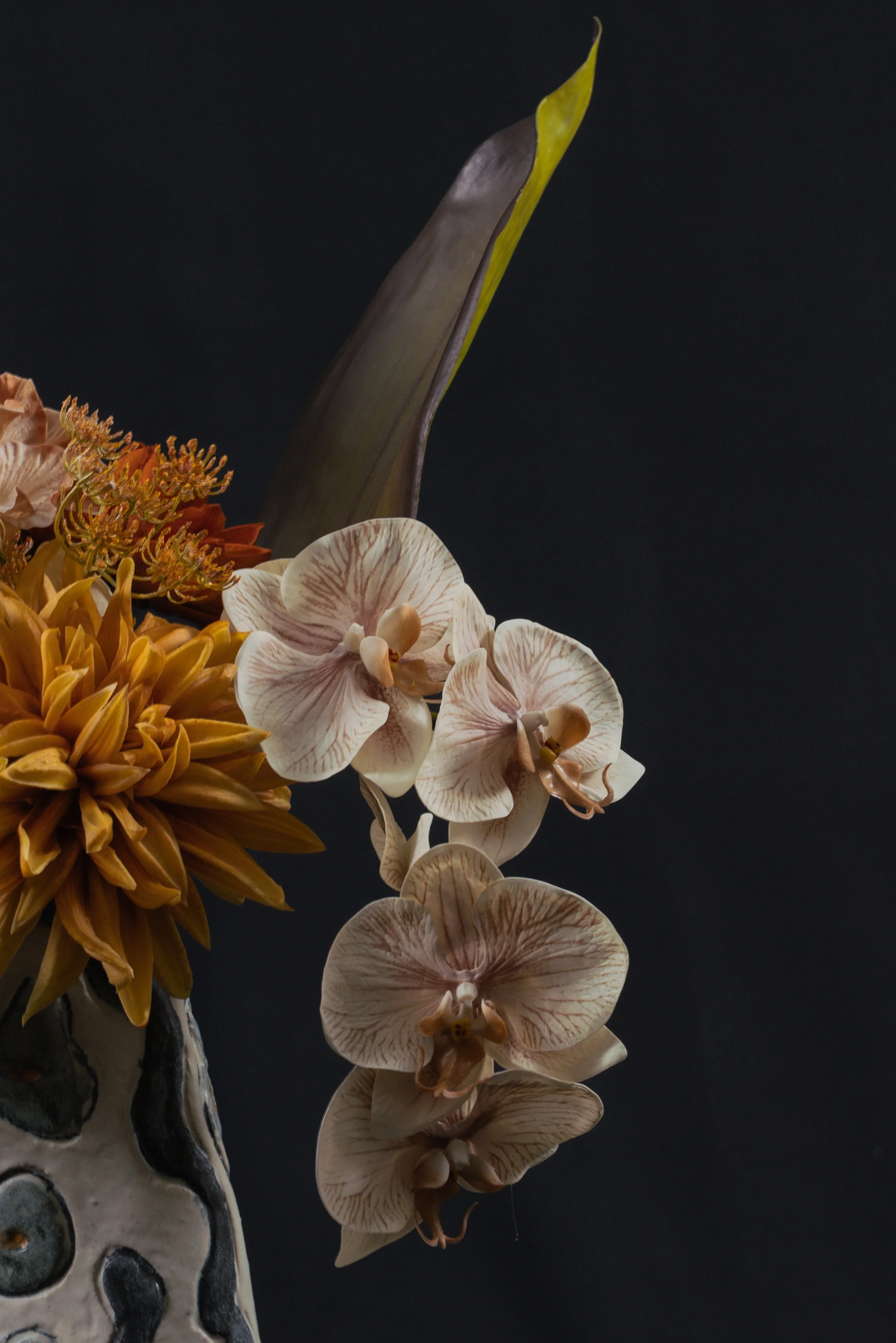 AtelierVandA_VandACollection_PauseSeries_VA-50.jpg
