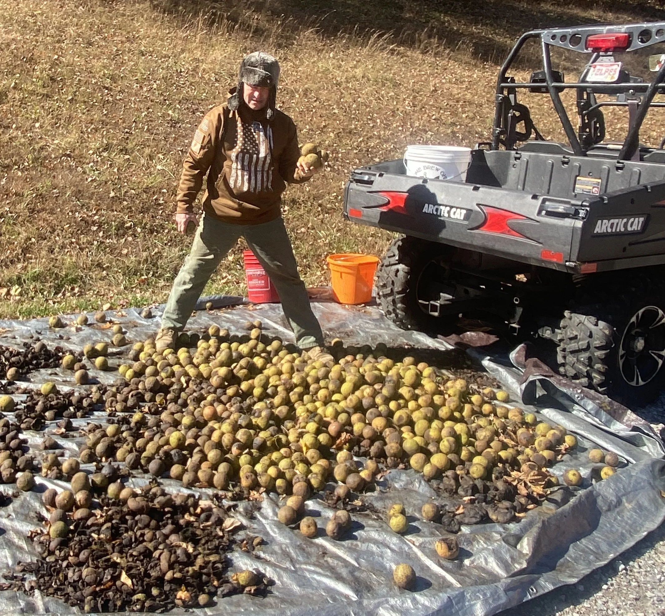 Jeff with walnuts 3.JPG