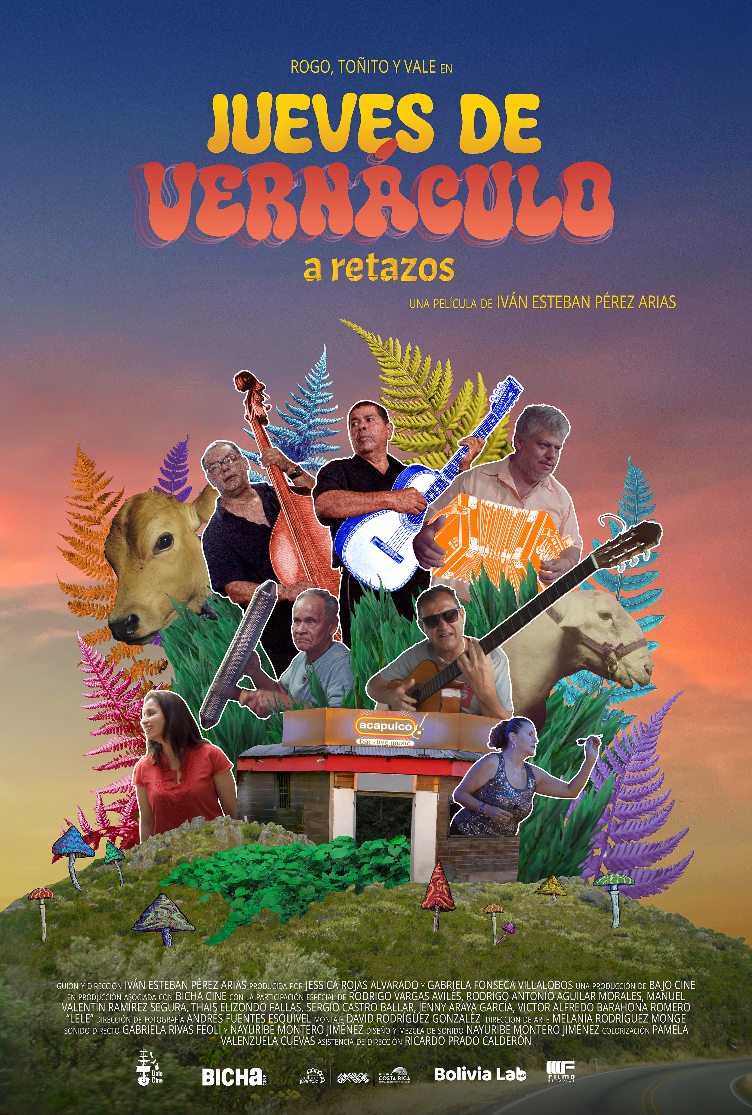 Afiche Oficial JDV