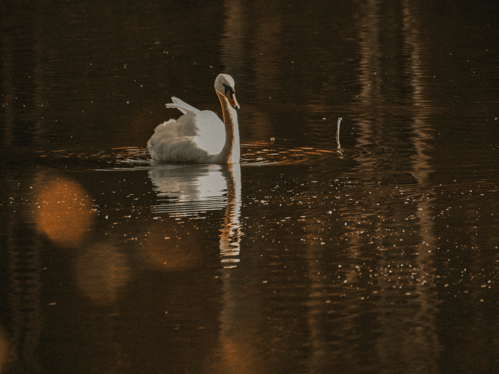 Anchored in Chaos: The Habits That Keep Me Grounded