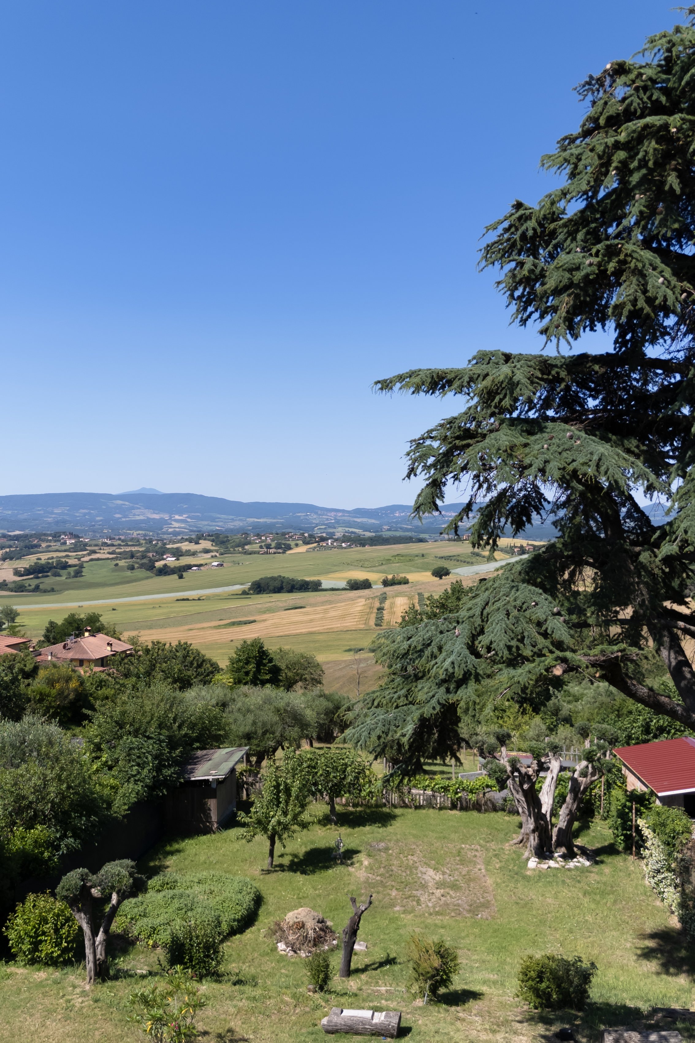 DJI_20250603104826_0075_D copia.jpeg