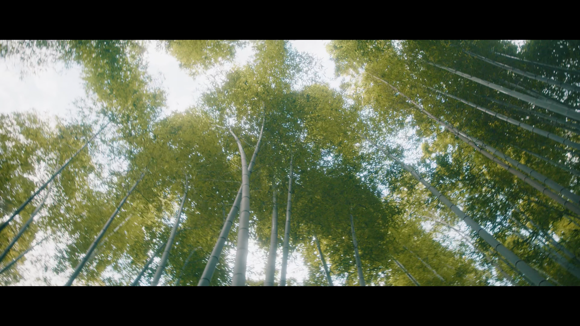 JNTO_1_Master_Full_191226_light-0497.png