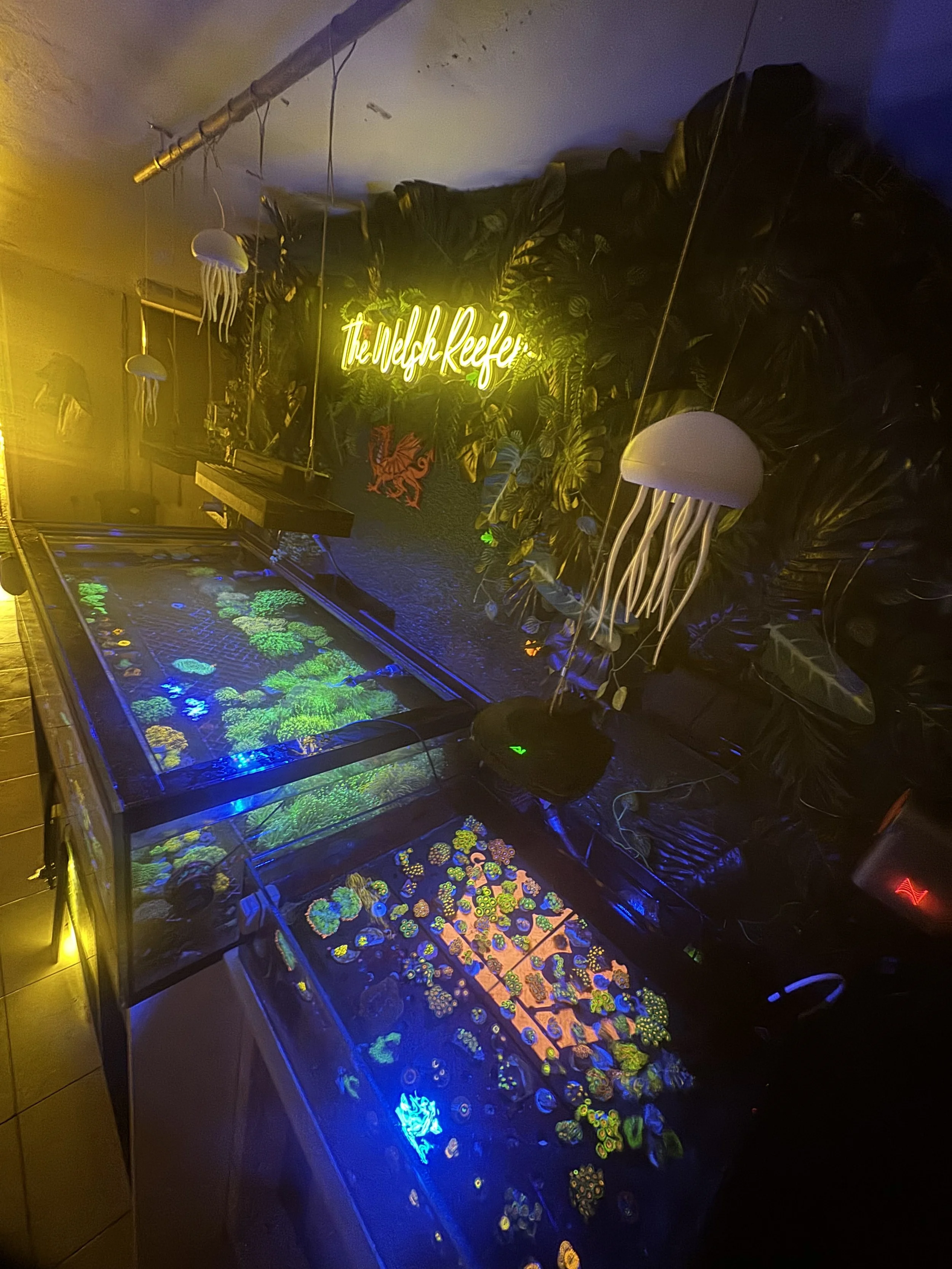 A room with a neon sign reading 'The Waffle Reef', tropical plants, and jellyfish decorations. There are two aquariums filled with colorful coral and marine life, glowing under blacklight.