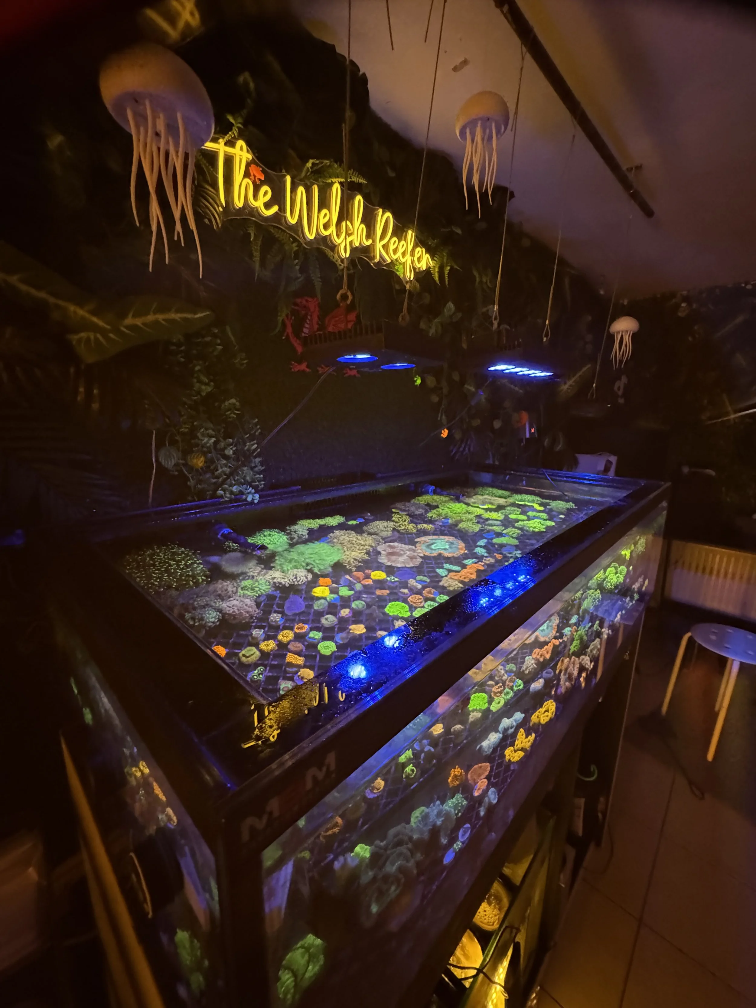 Aquarium tank filled with colorful corals under blacklight with jellyfish decorations hanging from the ceiling and a glowing sign saying 'The Whelka Reef'.