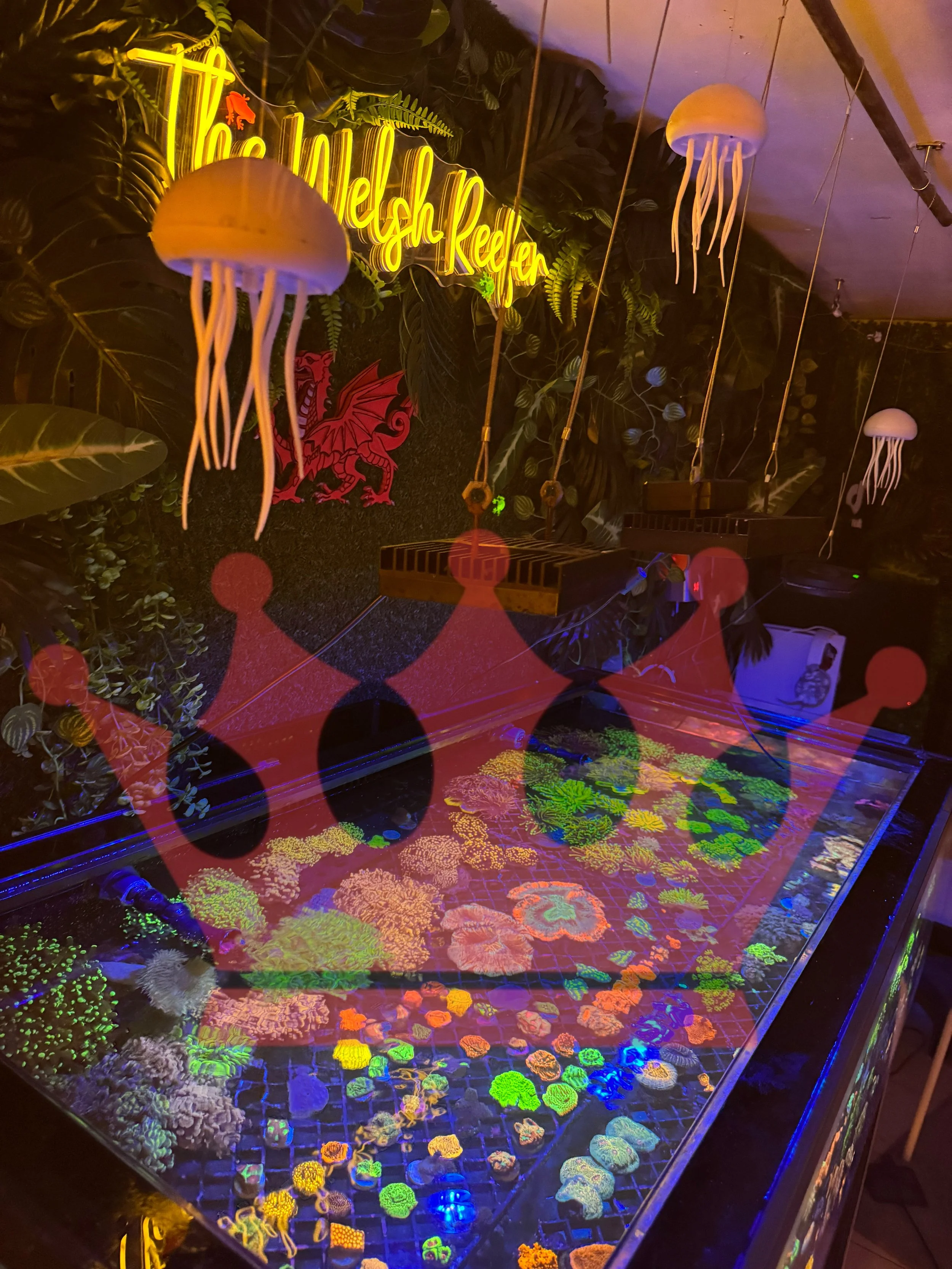 A neon sign that reads 'The Light Reef' hangs on a decorated wall with leafy and coral-themed decorations. The ceiling has hanging jellyfish-shaped lights. Below, there is a glass display table with colorful, glowing coral and marine life replicas il