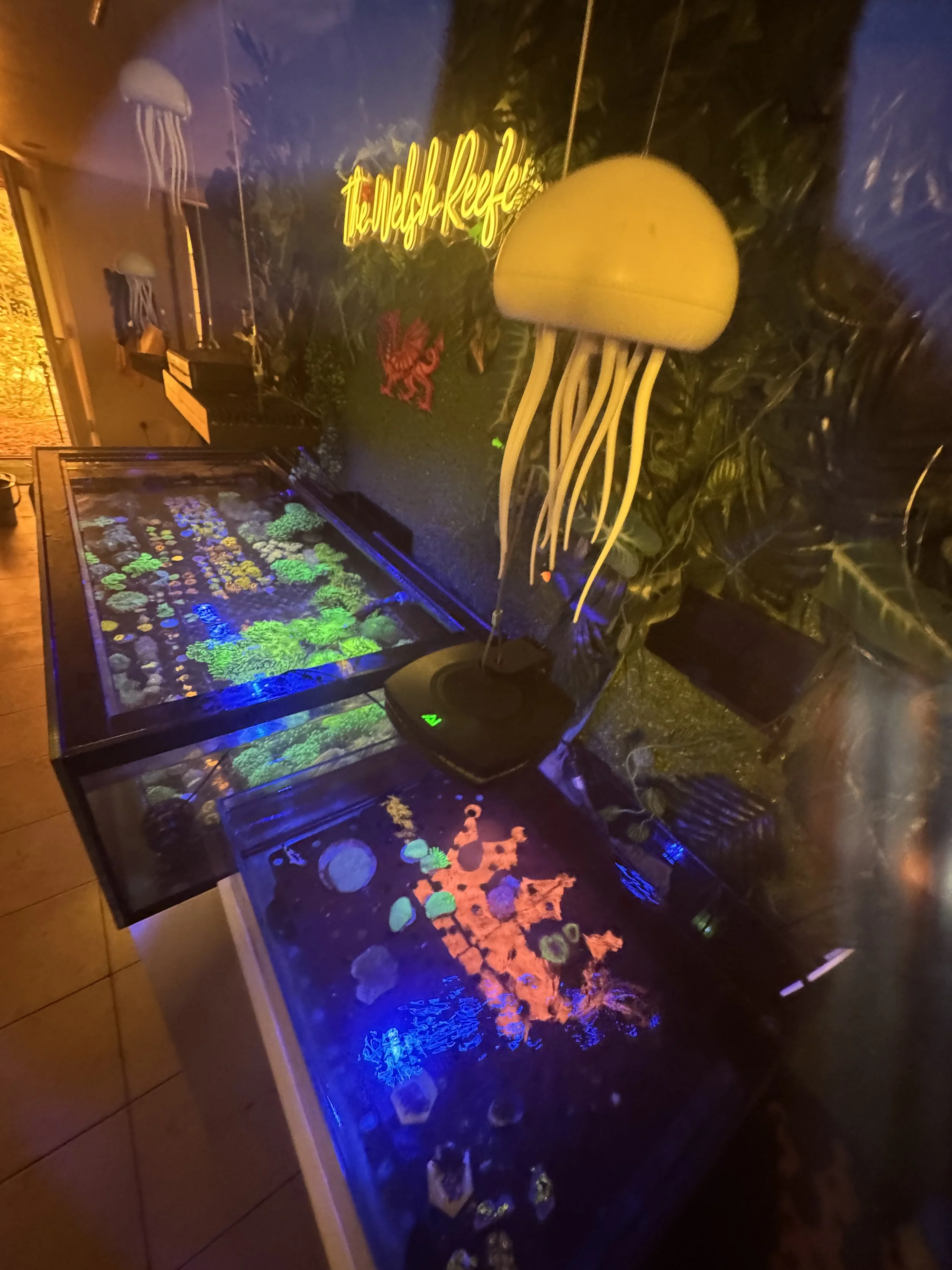 Display tanks with illuminated coral and sea creature decorations, a large yellow jellyfish model hanging from the ceiling, and neon signs reading 'The Reef' and 'The Light Reef' in a dimly lit room.