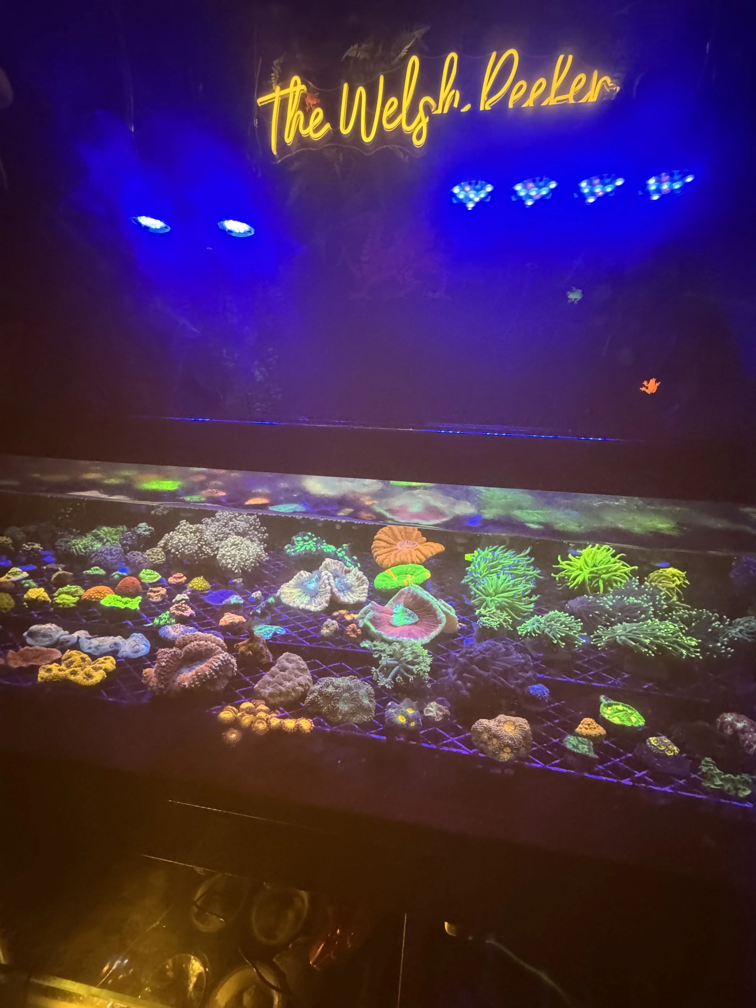 IMG_1798.jpeg