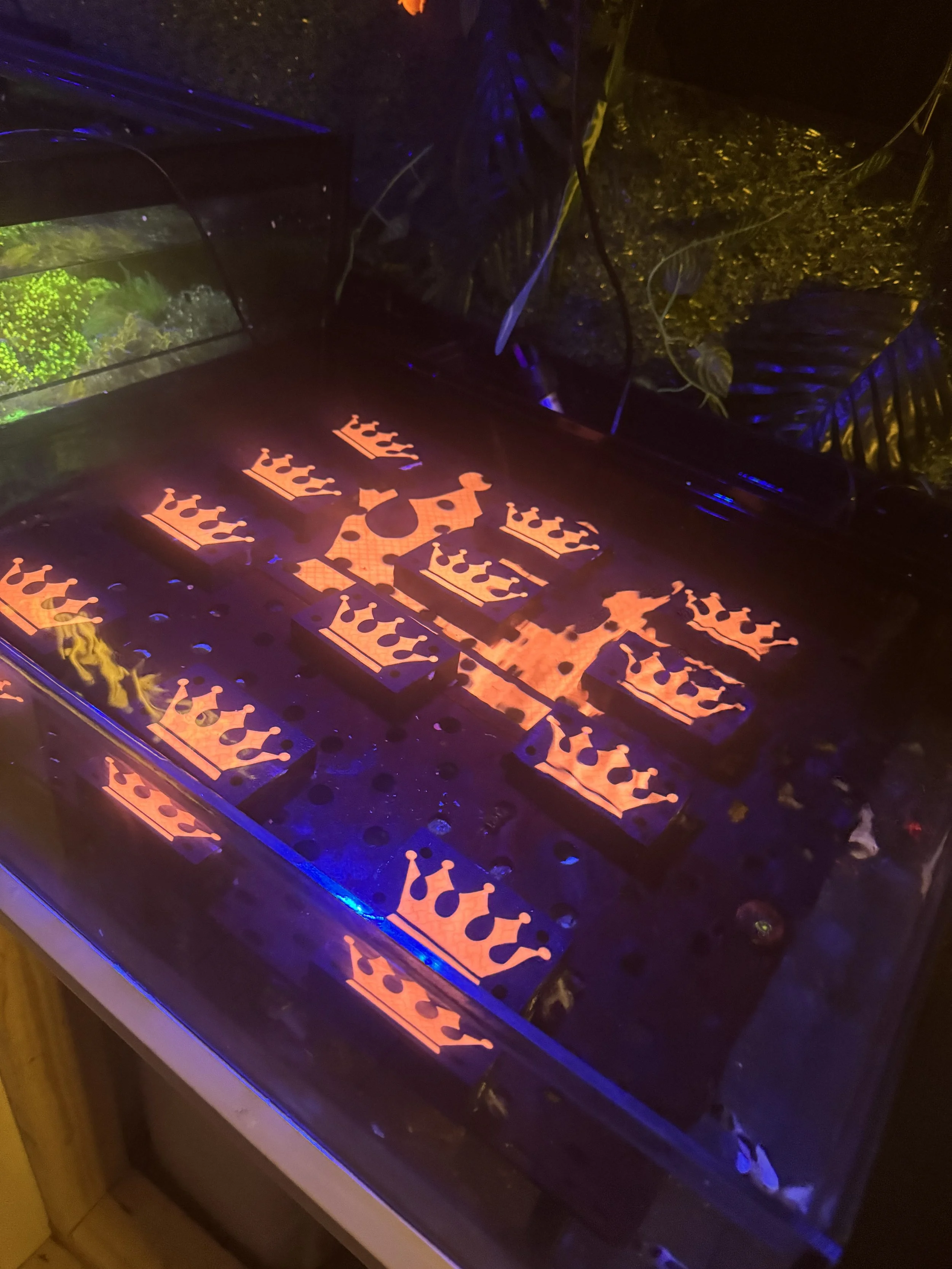 A photo of a pinball machine with illuminated orange crown designs on the playing field, under blacklight, with some visible wiring and tropical leaves in the background.
