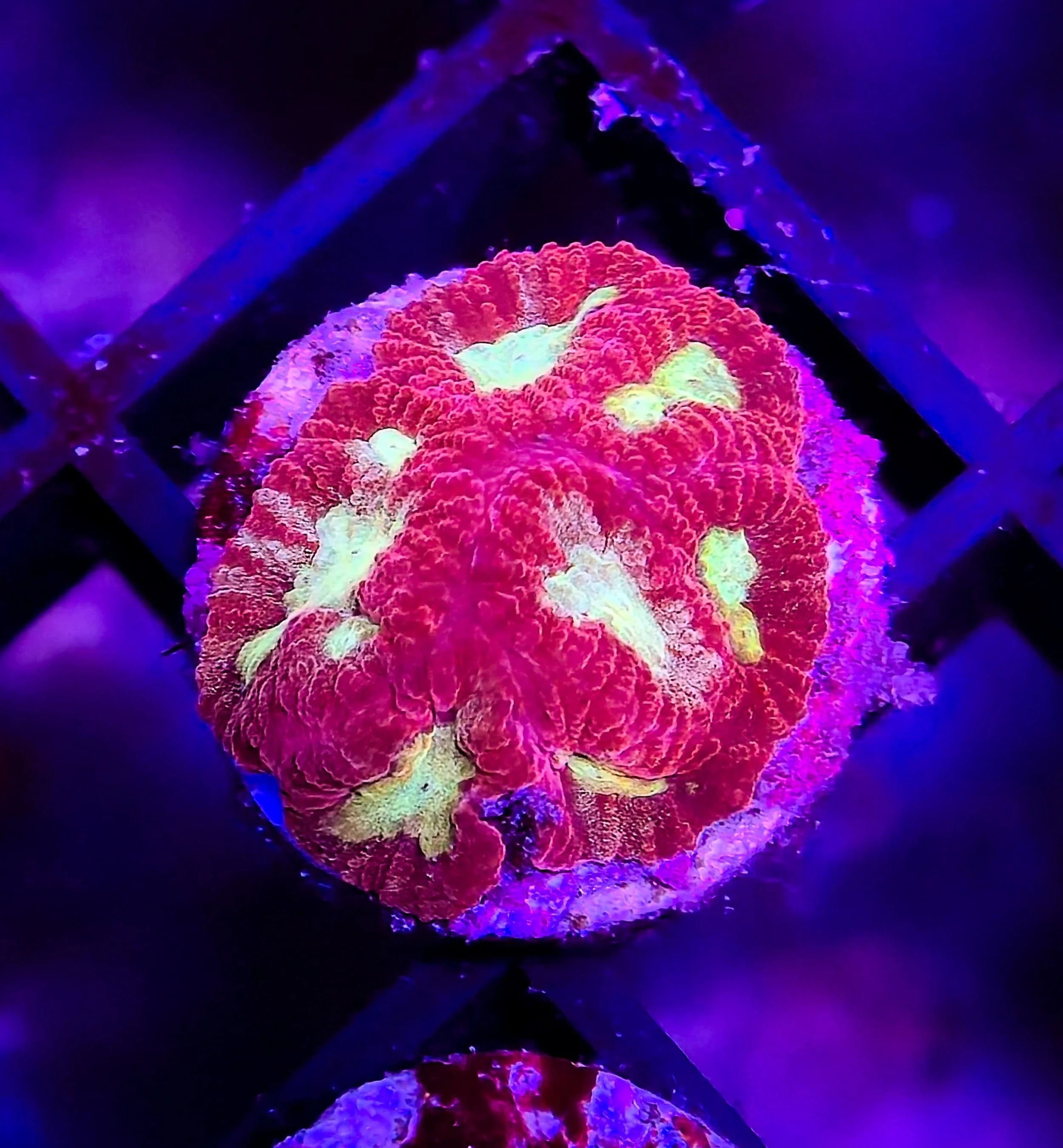 0e171391-66cb-49e6-8e5b-8e57c2934511.jpeg