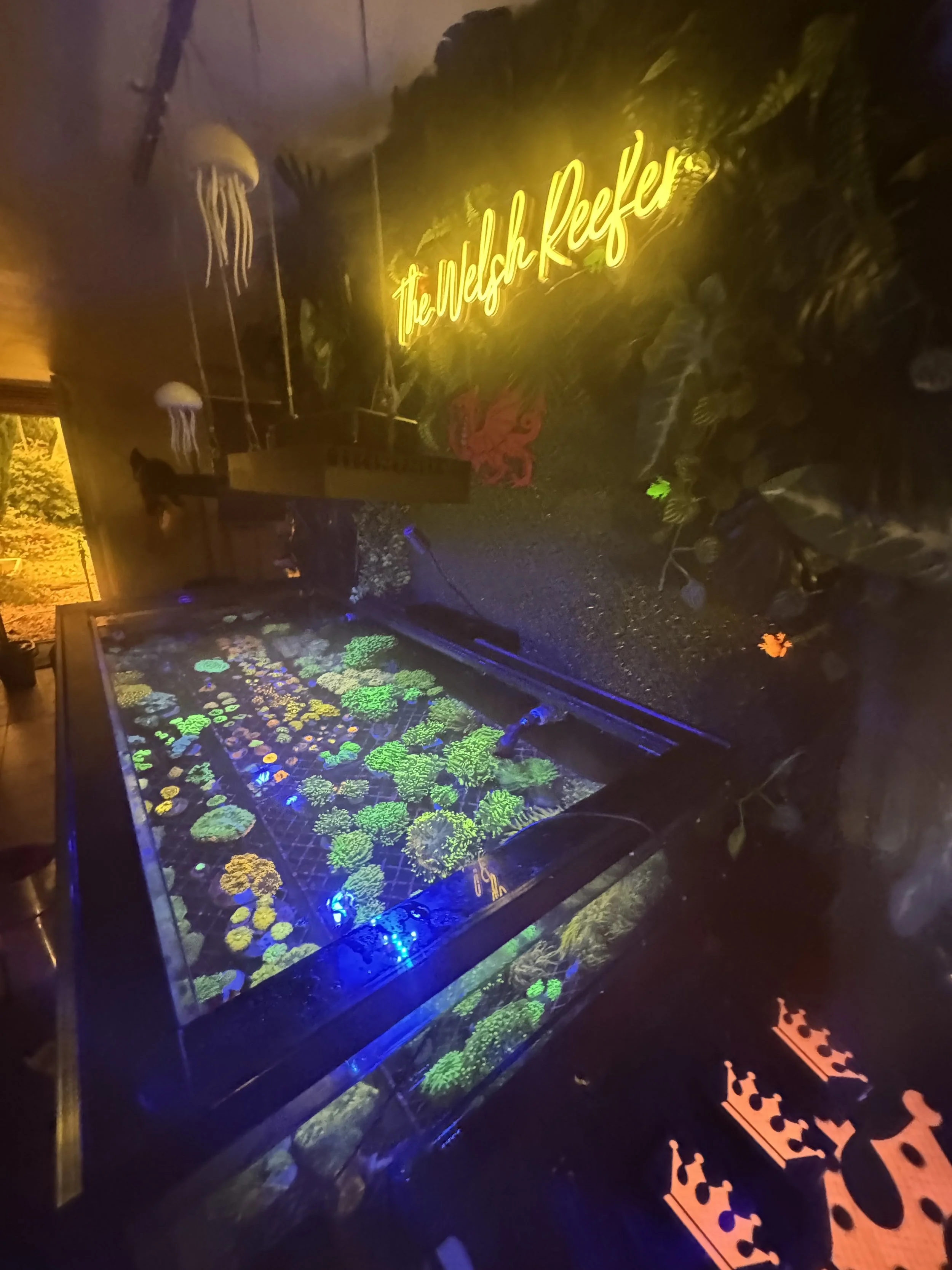 Neon sign reading 'The Welsh Reefers' above an illuminated coral reef display in an indoor setting with plants and decorative jellyfish hanging from the ceiling.