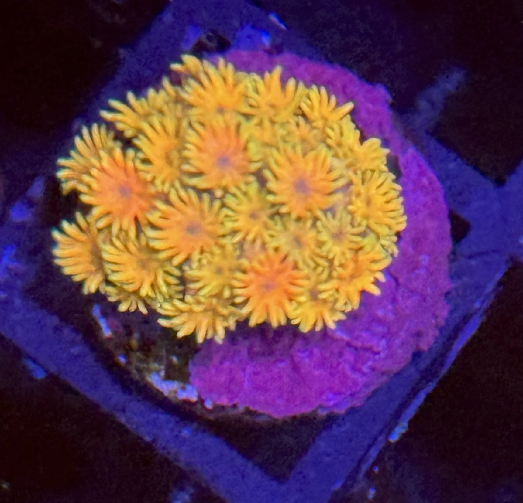 IMG_1507.jpeg