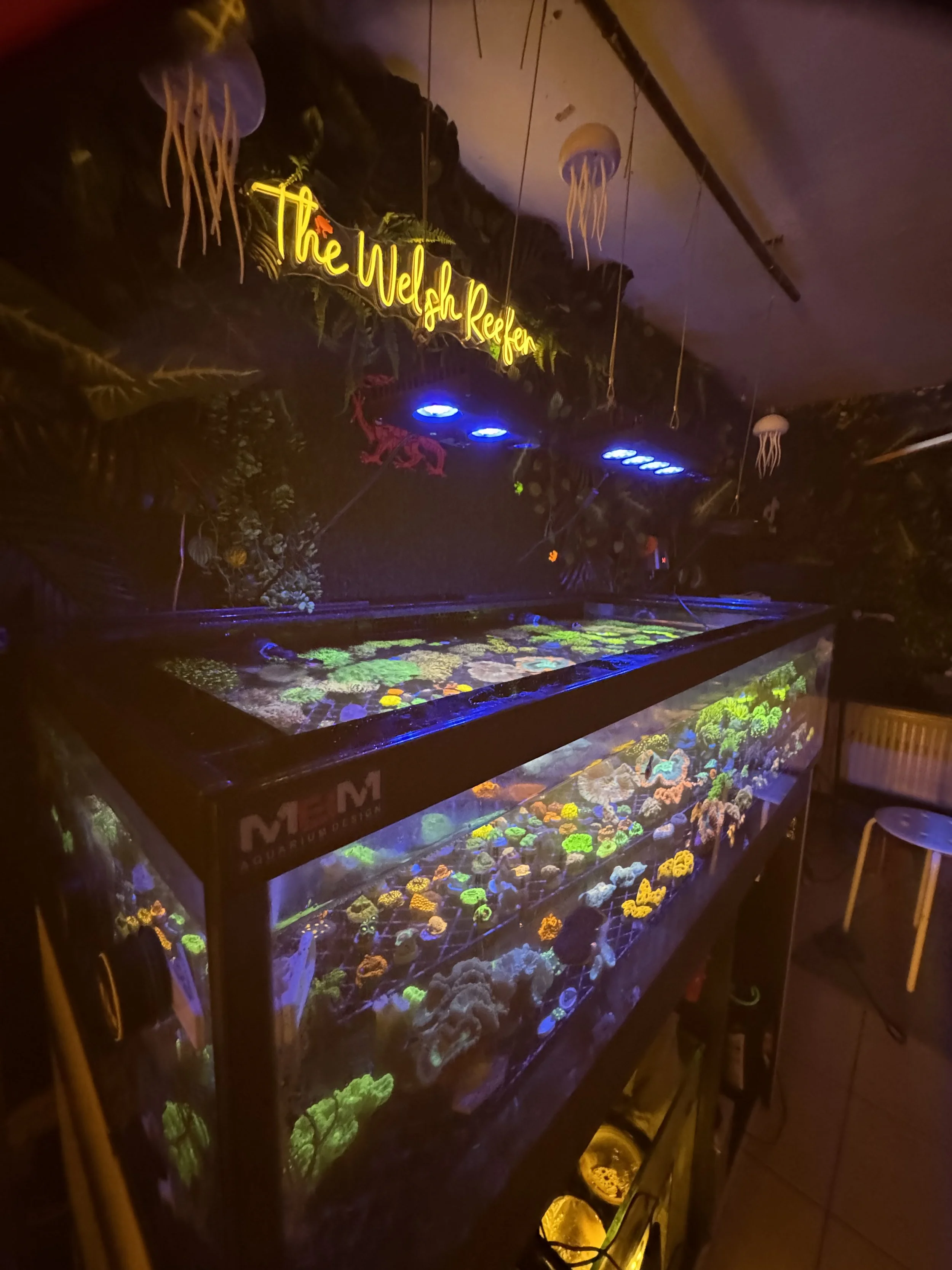 A large saltwater aquarium tank filled with colorful coral and marine life, illuminated under blue and purple lighting. Above the tank is a yellow neon sign that reads 'The Welsh Reef,' surrounded by decorations resembling jellyfish and nautical-them