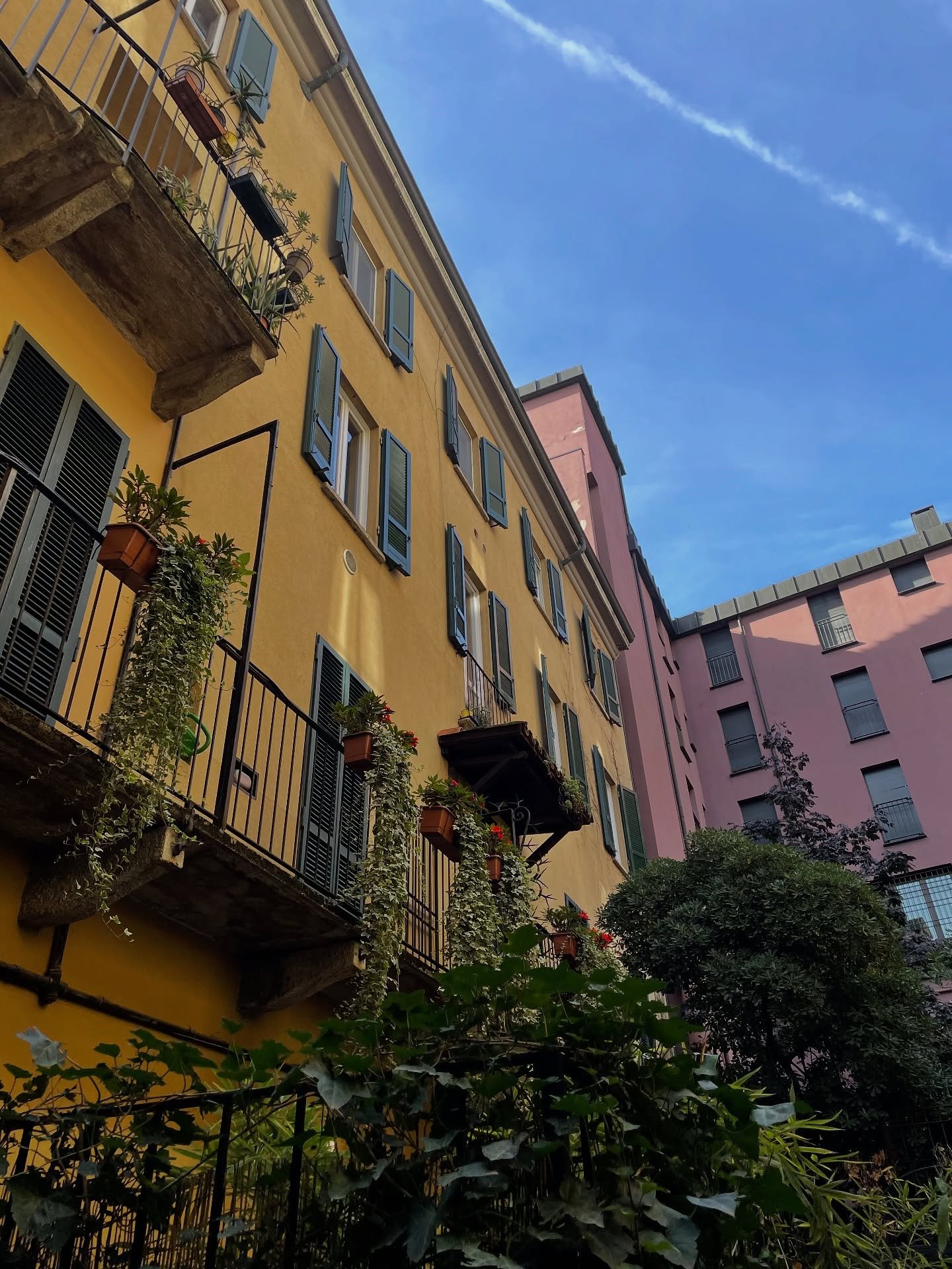 Stroll anywhere in Milan and we promise you&rsquo;ll get inspired by colours🙂&zwj;↕️ where our designs are made! 

#kittysablu #newbrand #interior #cushions #throws #interiordecor #puter #pledd #designedinmilan #madeinitaly #norwegianbrand #norwegia