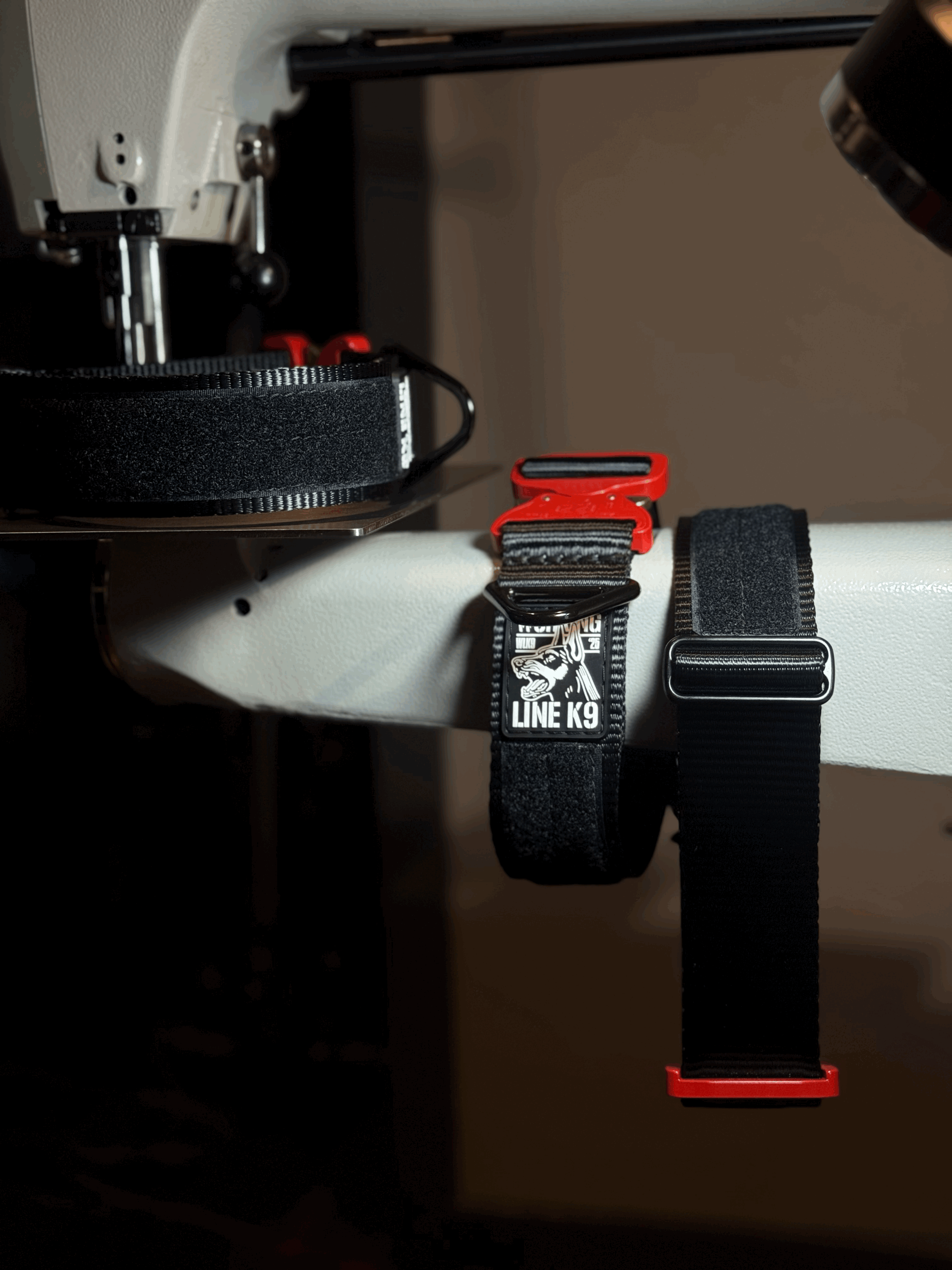tempImageCs46wm.gif