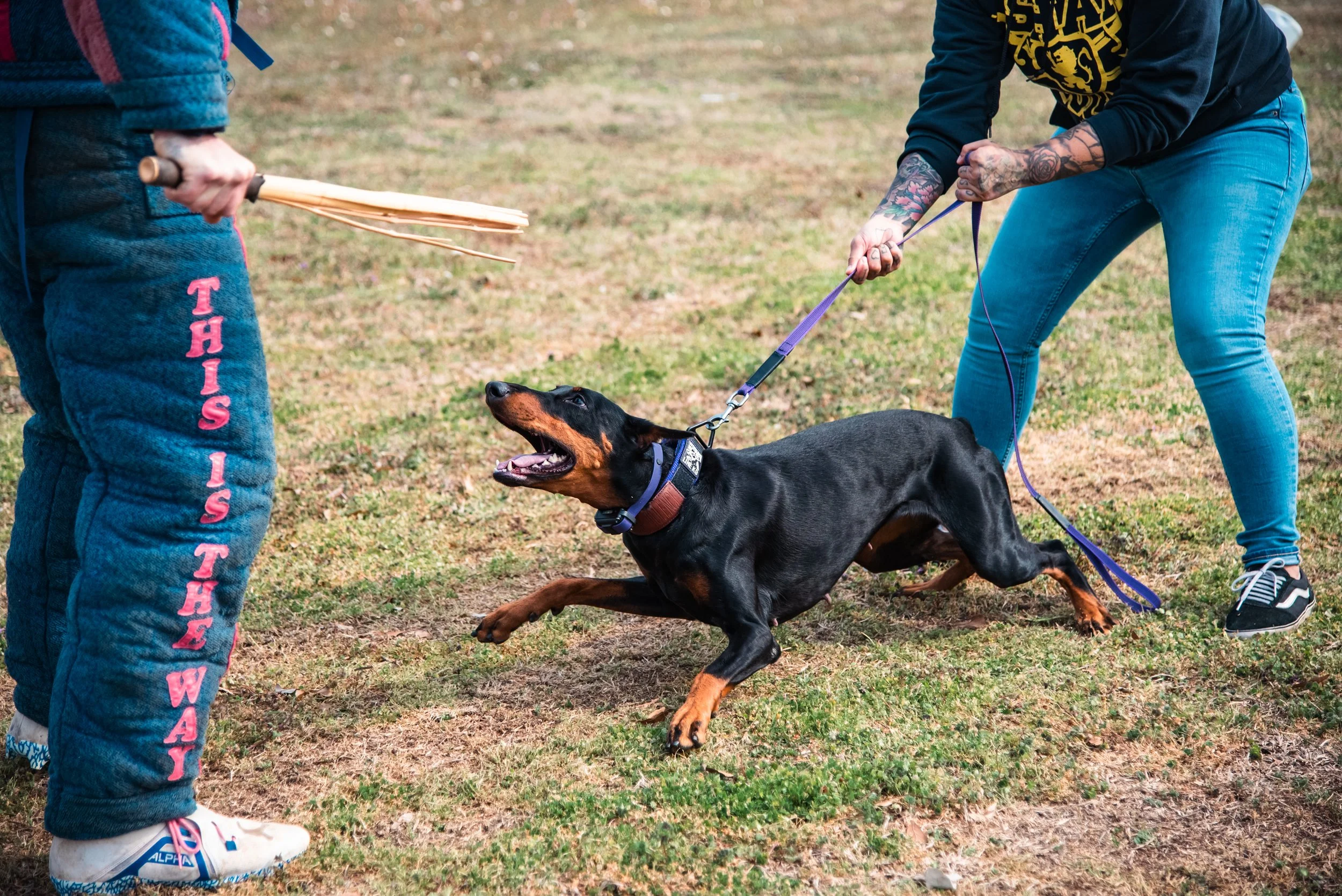 2inch Black & Purple
